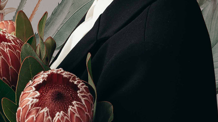 Plant guide for your home: how plants can make more alive any interior