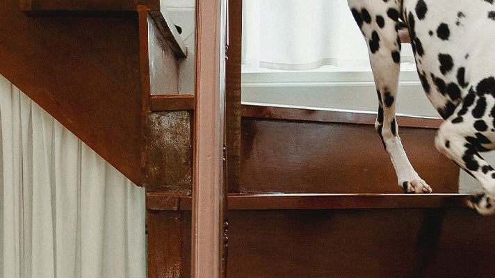 10 Tips for Styling Your Staircase with Confidence: Safety Meets Style