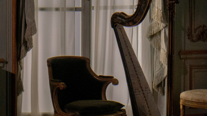 The allure of Dark Academia – a guide to sophisticated and moody interiors