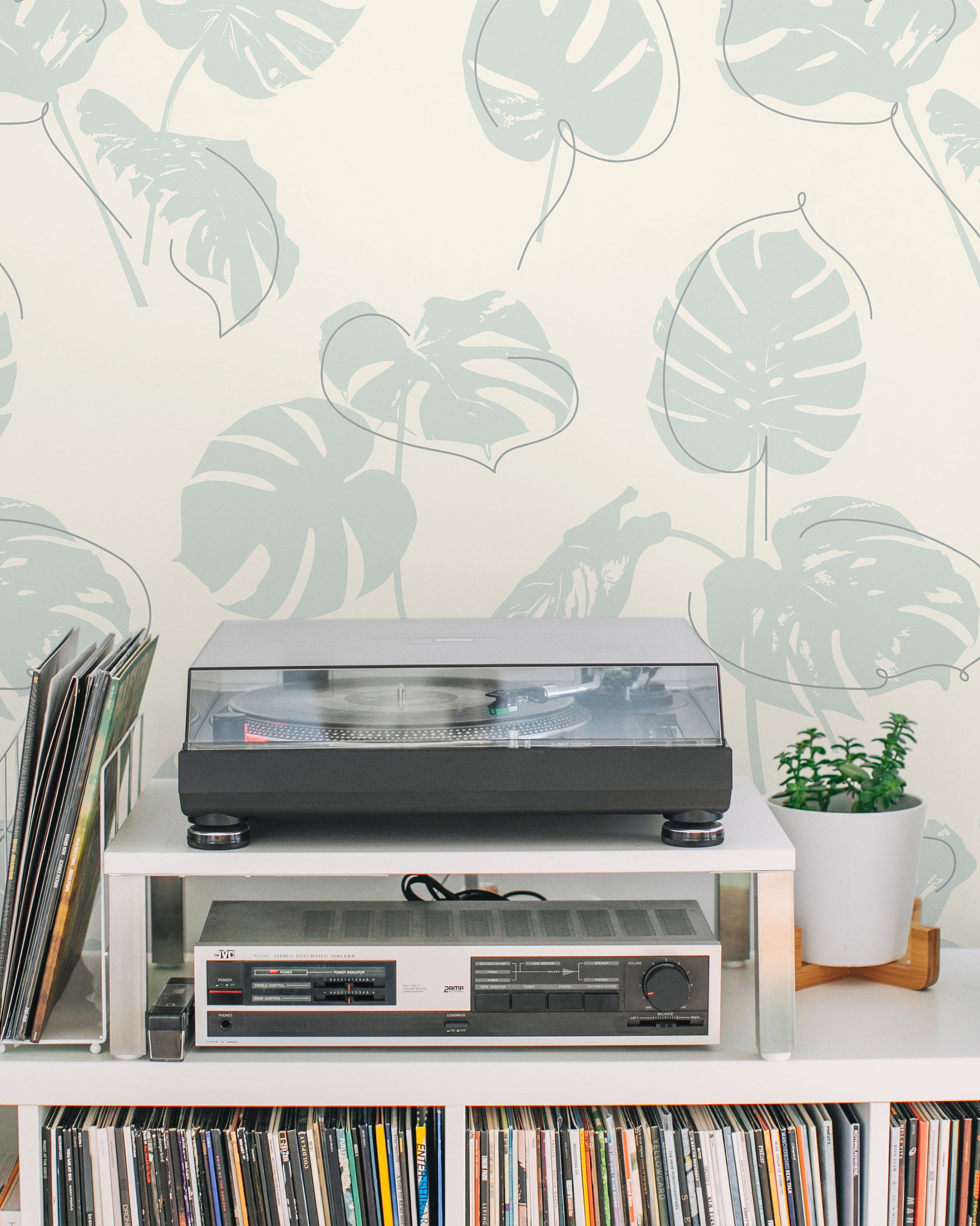 Monstera Leaves Peel and Stick Wallpaper, Removable Wallpaper, Traditional Wallpaper - Mint Green | DeccoPrint