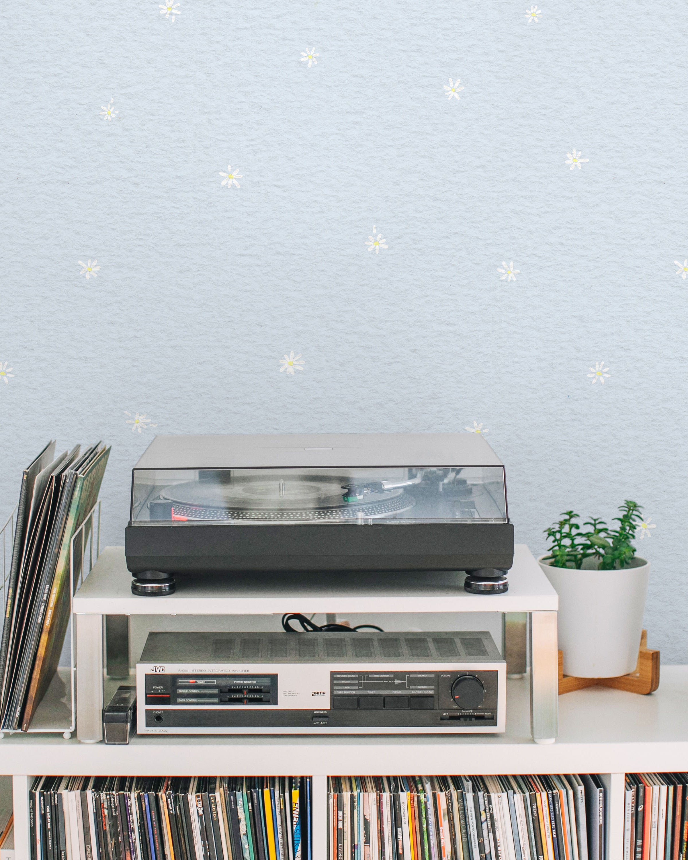 Simple Daisies Peel and Stick Wallpaper, Removable Wallpaper, Traditional Wallpaper - Sky Blue | DeccoPrint