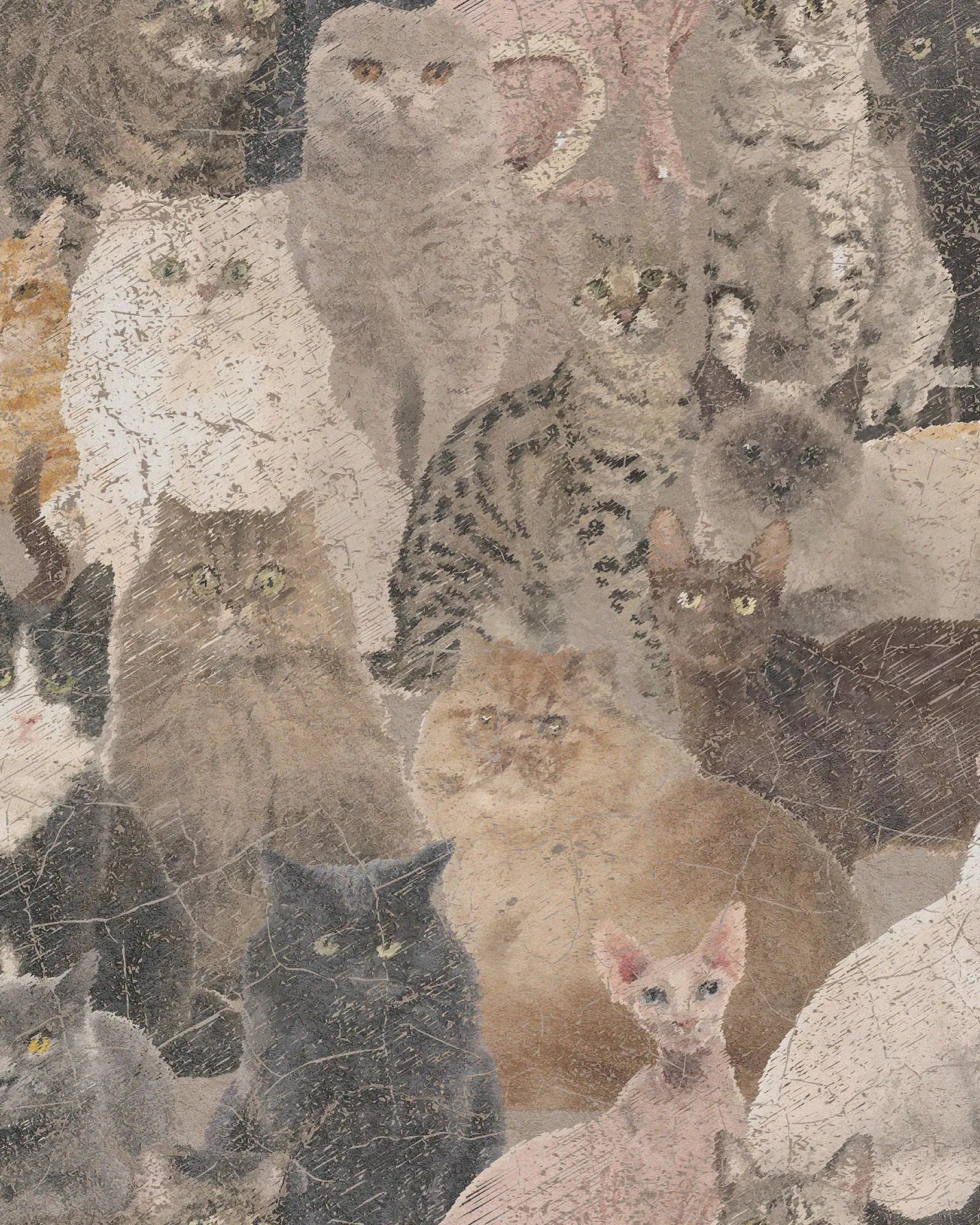 Illustration of various cats with different breeds and colors.