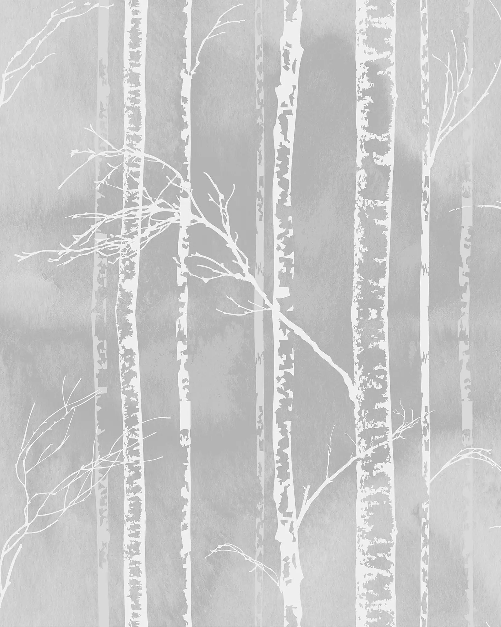 Silhouette of birch trees on a gray background