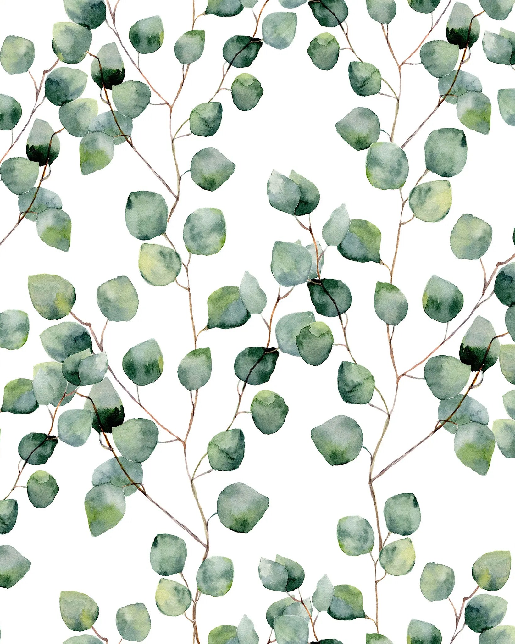 Pattern of green leaves and branches on a white background