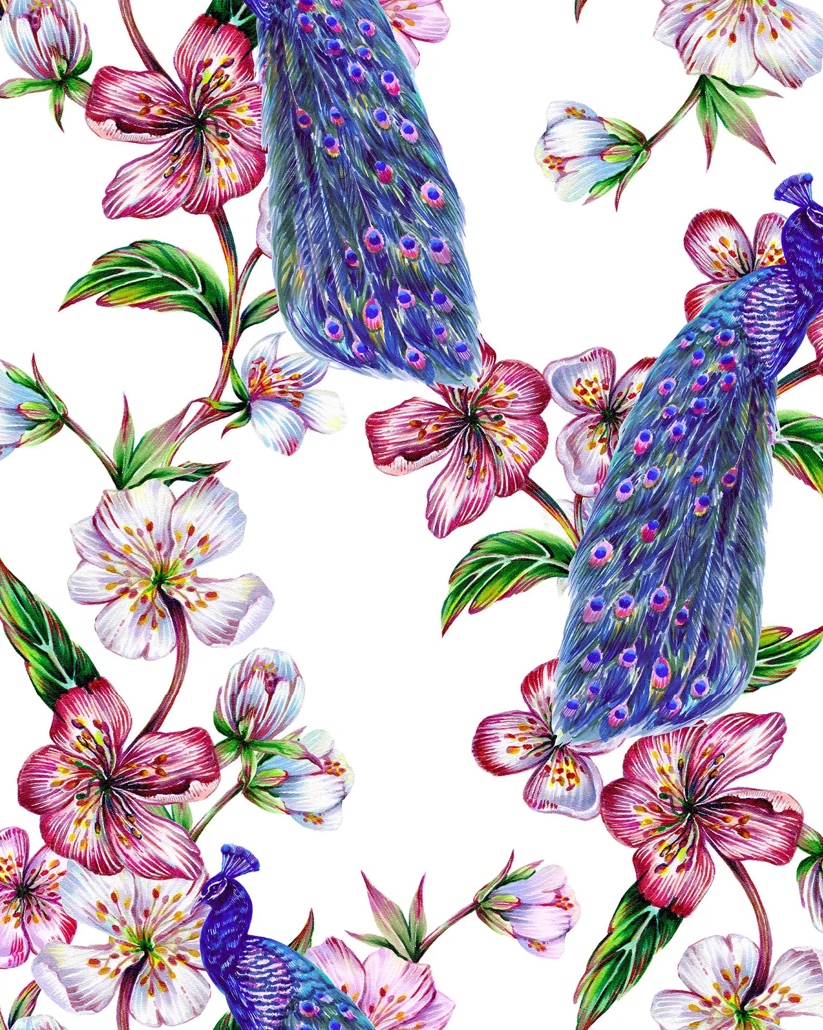 Pattern of peacocks and flowers on a white background