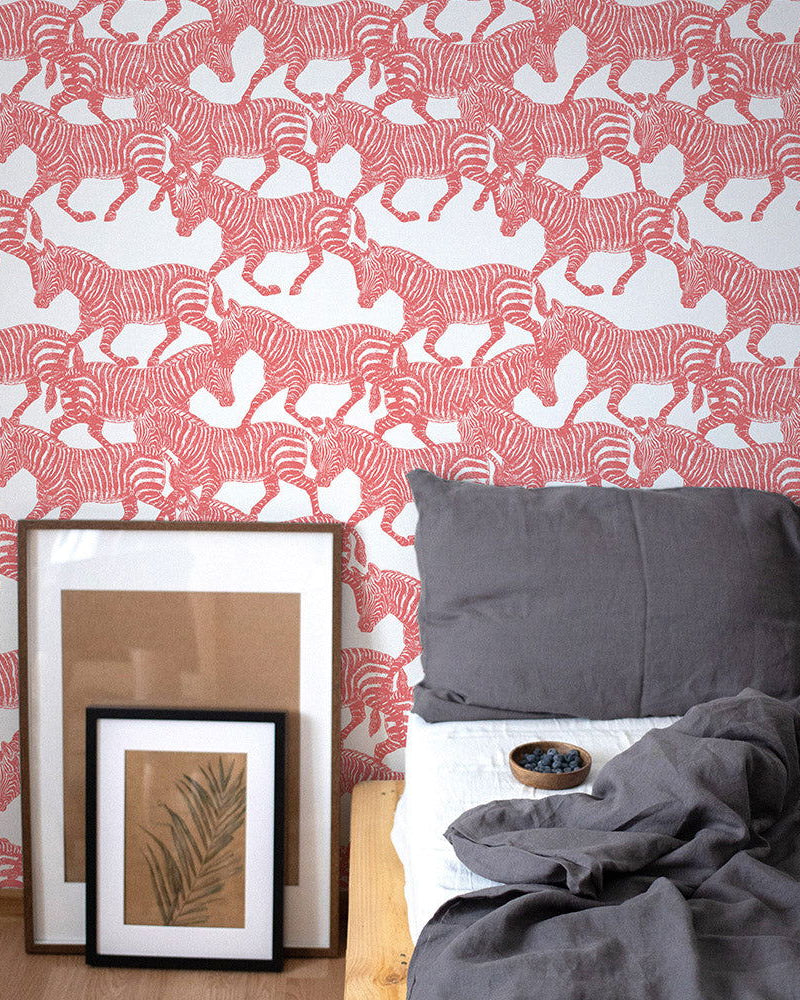 Coral Zebras Peel and Stick Wallpaper, Removable Wallpaper, Traditional Wallpaper | DeccoPrint