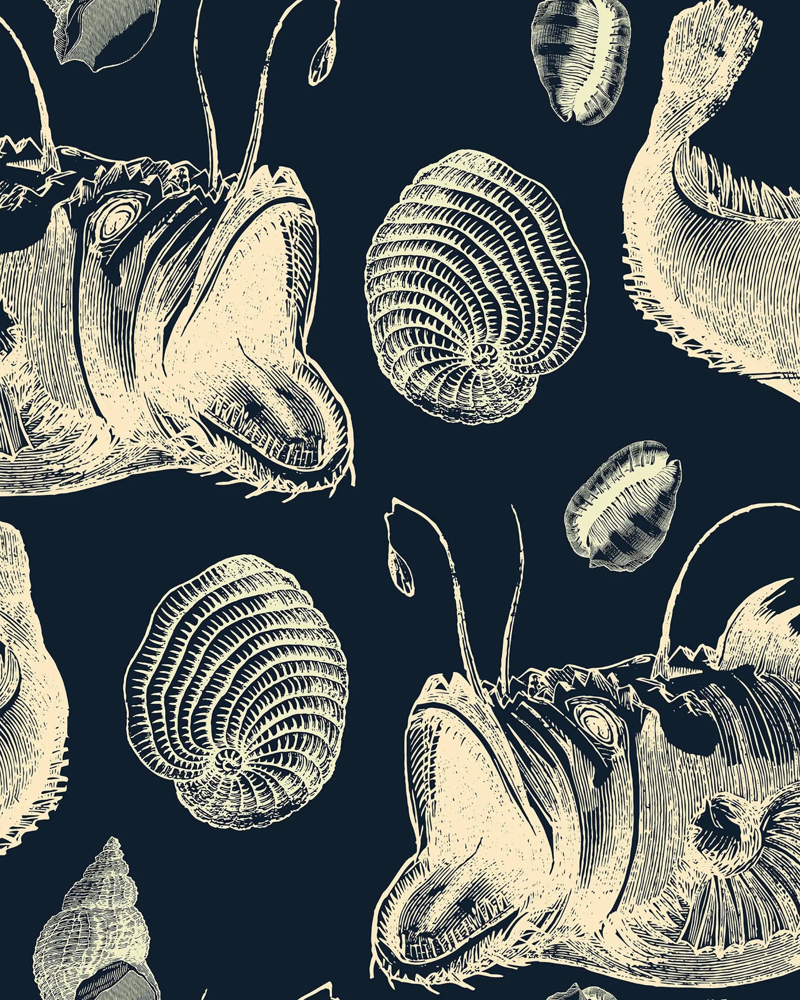 Illustrations of fish and shells on a dark background