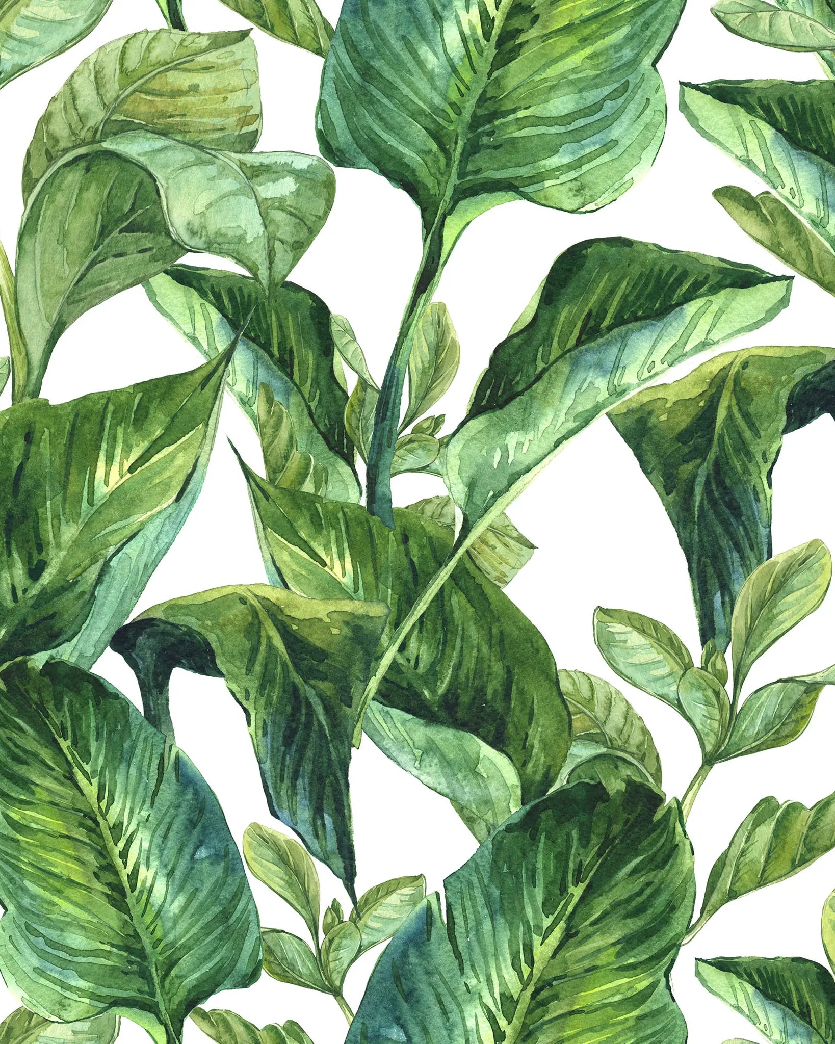Pattern of green leaves on a white background