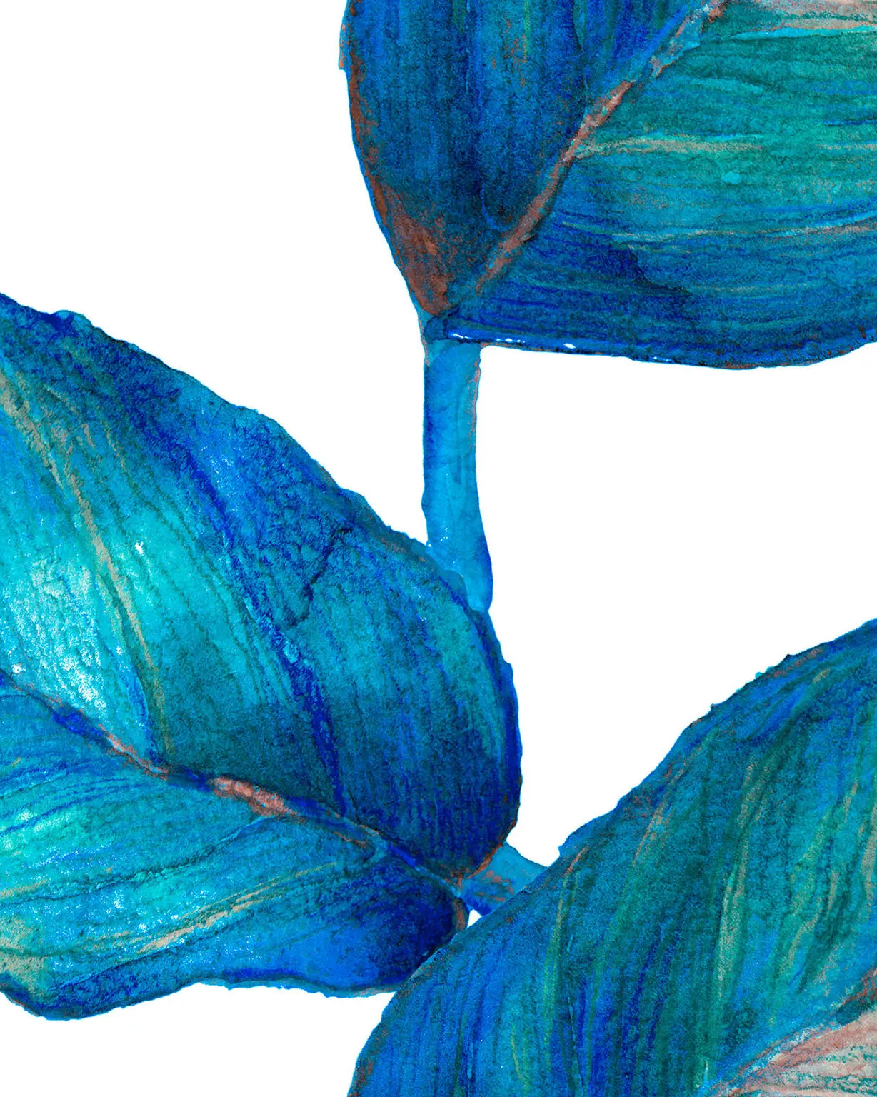 Close-up of blue tropical leaves on a white background
