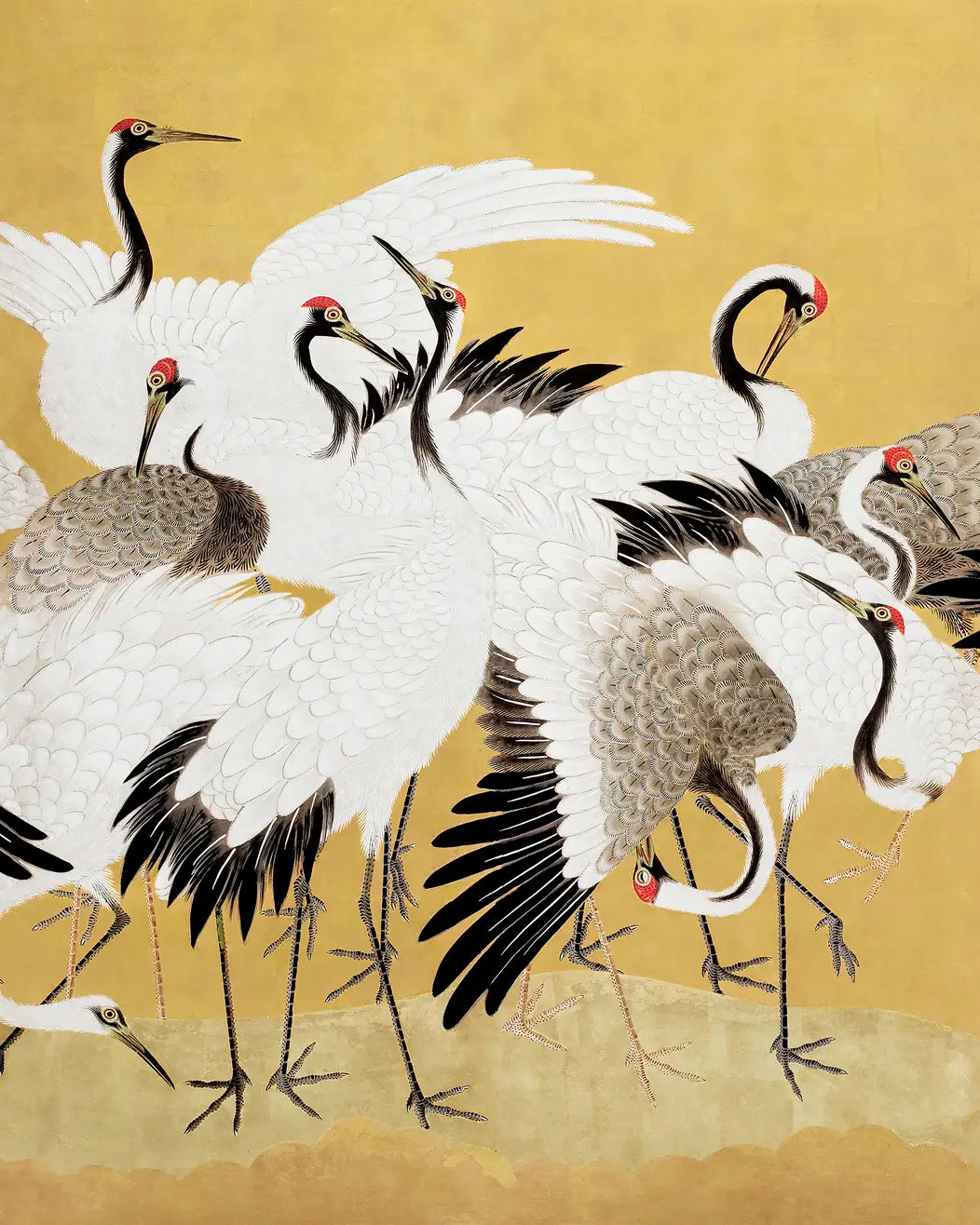 Japanese style flock of cranes on a gold background