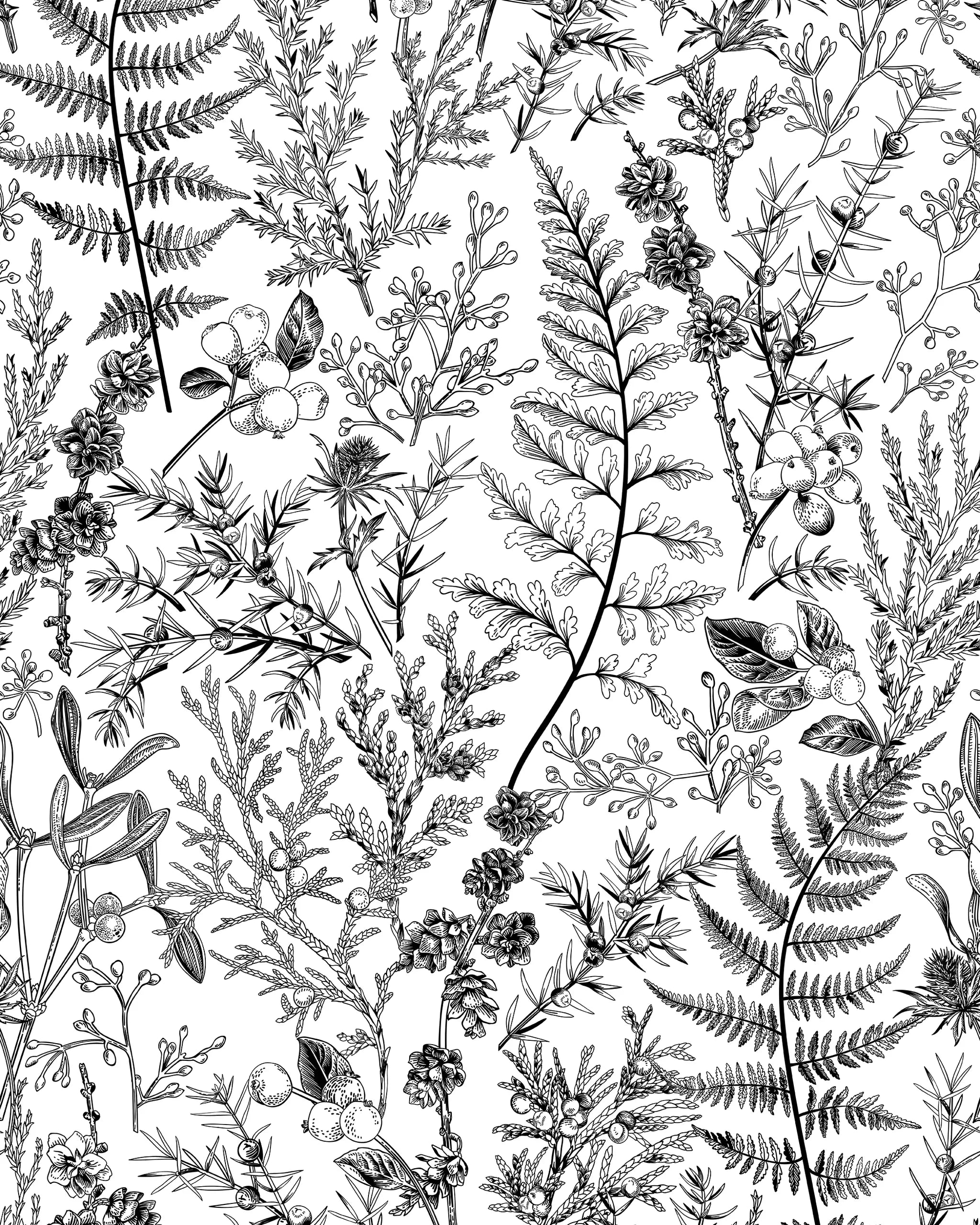 Black and white pattern of various plants and leaves on a white background