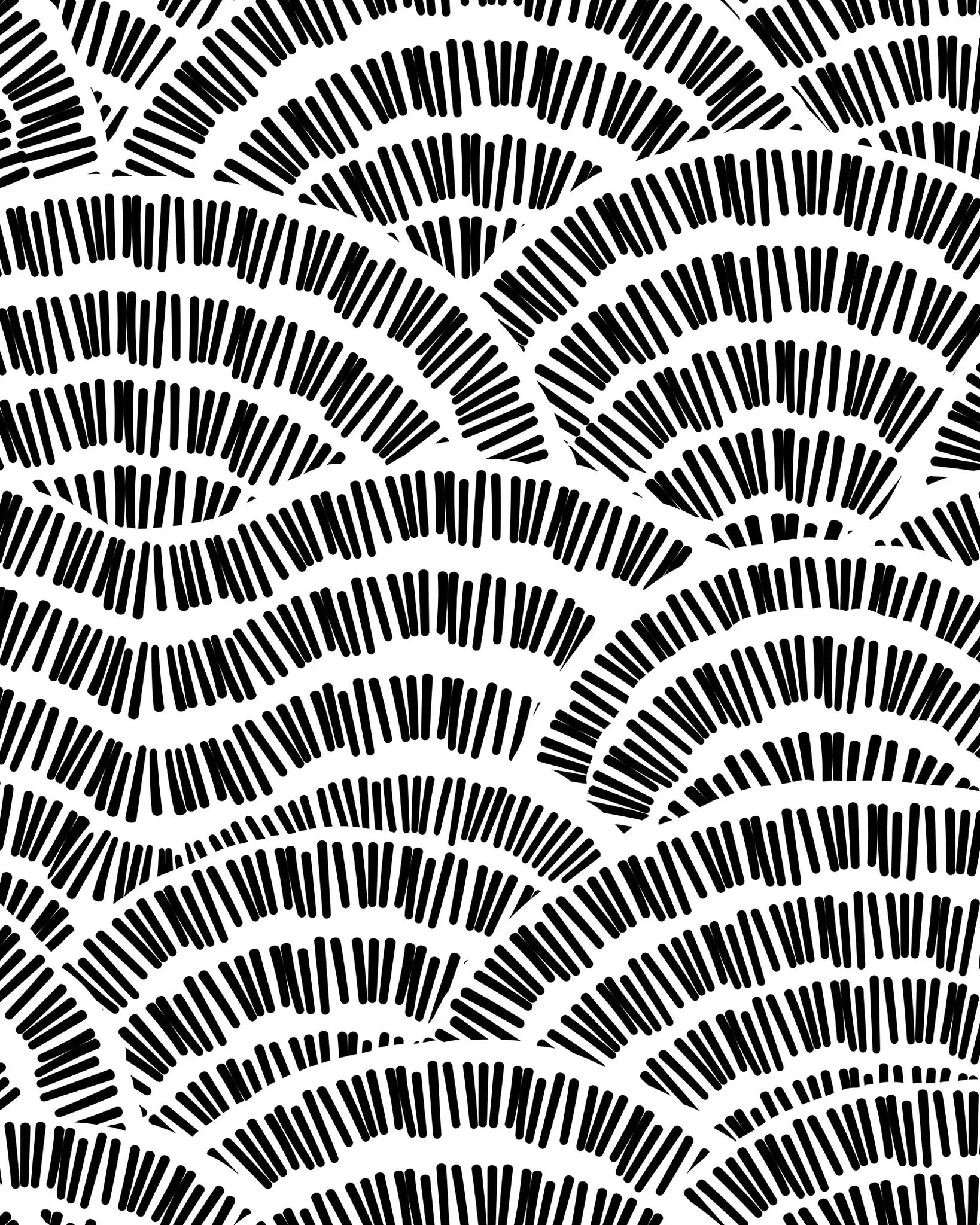 Black and white geometric pattern with wavy lines