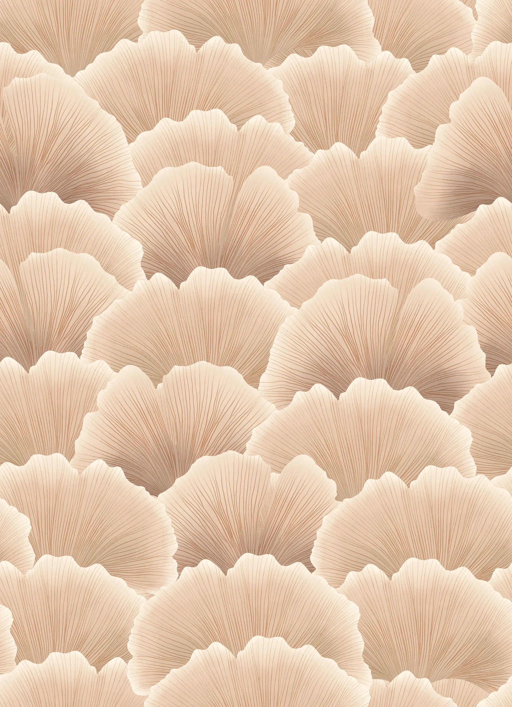 Pattern of beige scallop shells on a matching background