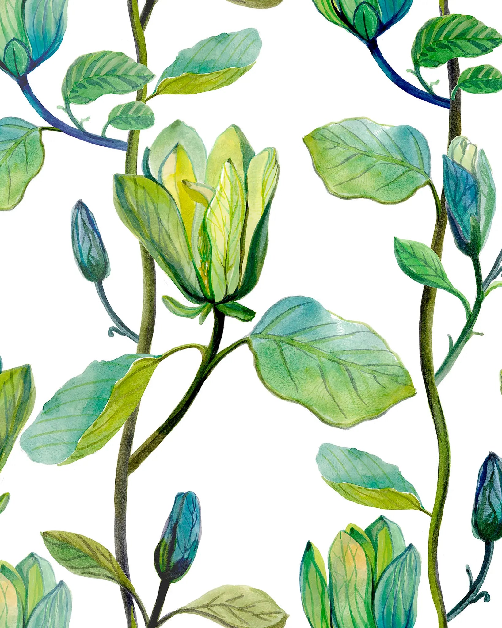 Illustration of green leaves and buds on a white background