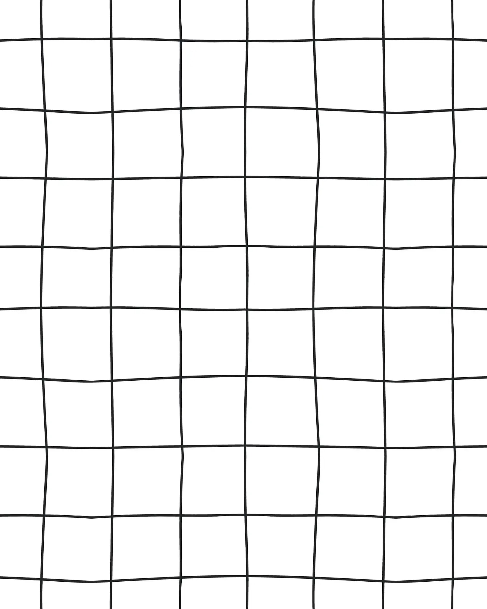 Simple grid pattern with black lines on a white background