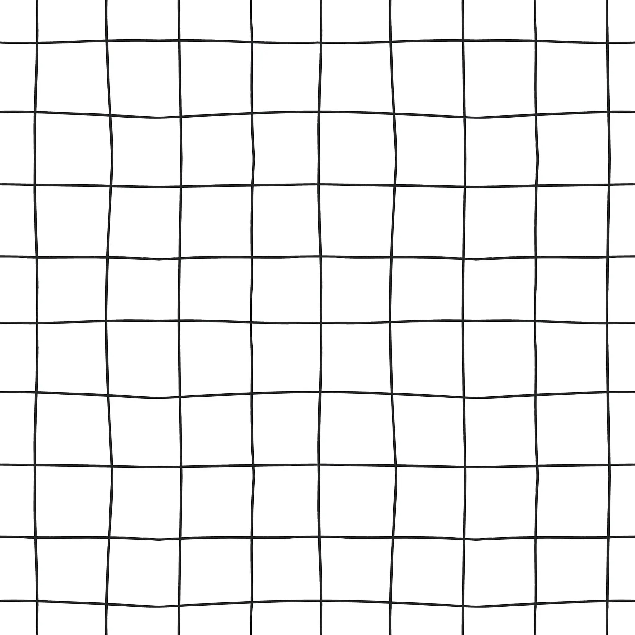 Simple grid pattern with black lines on a white background