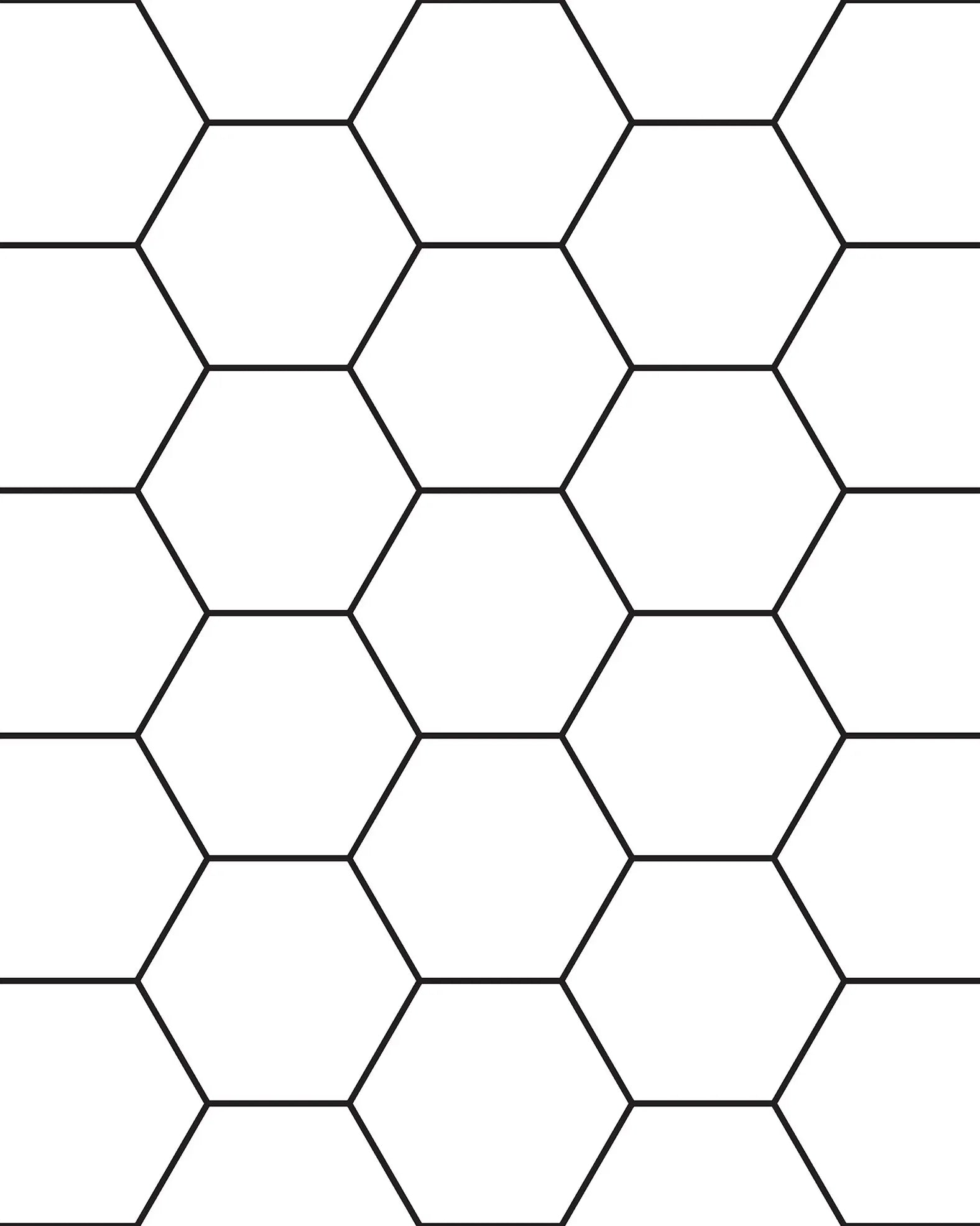 Pattern of hexagonal cells with alternating black and white colors