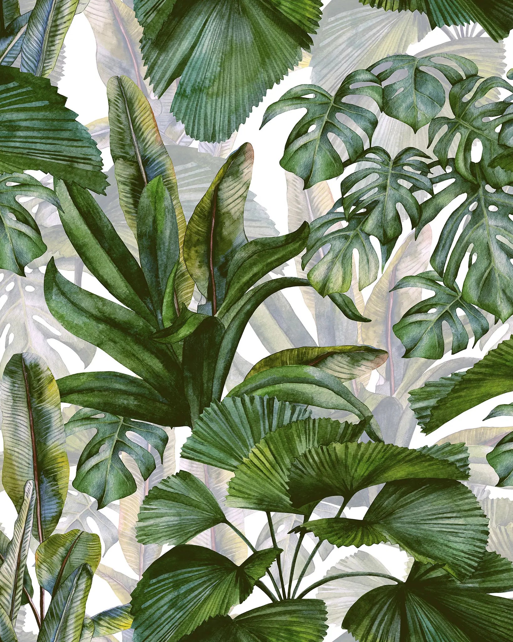 Pattern of tropical leaves on a white background