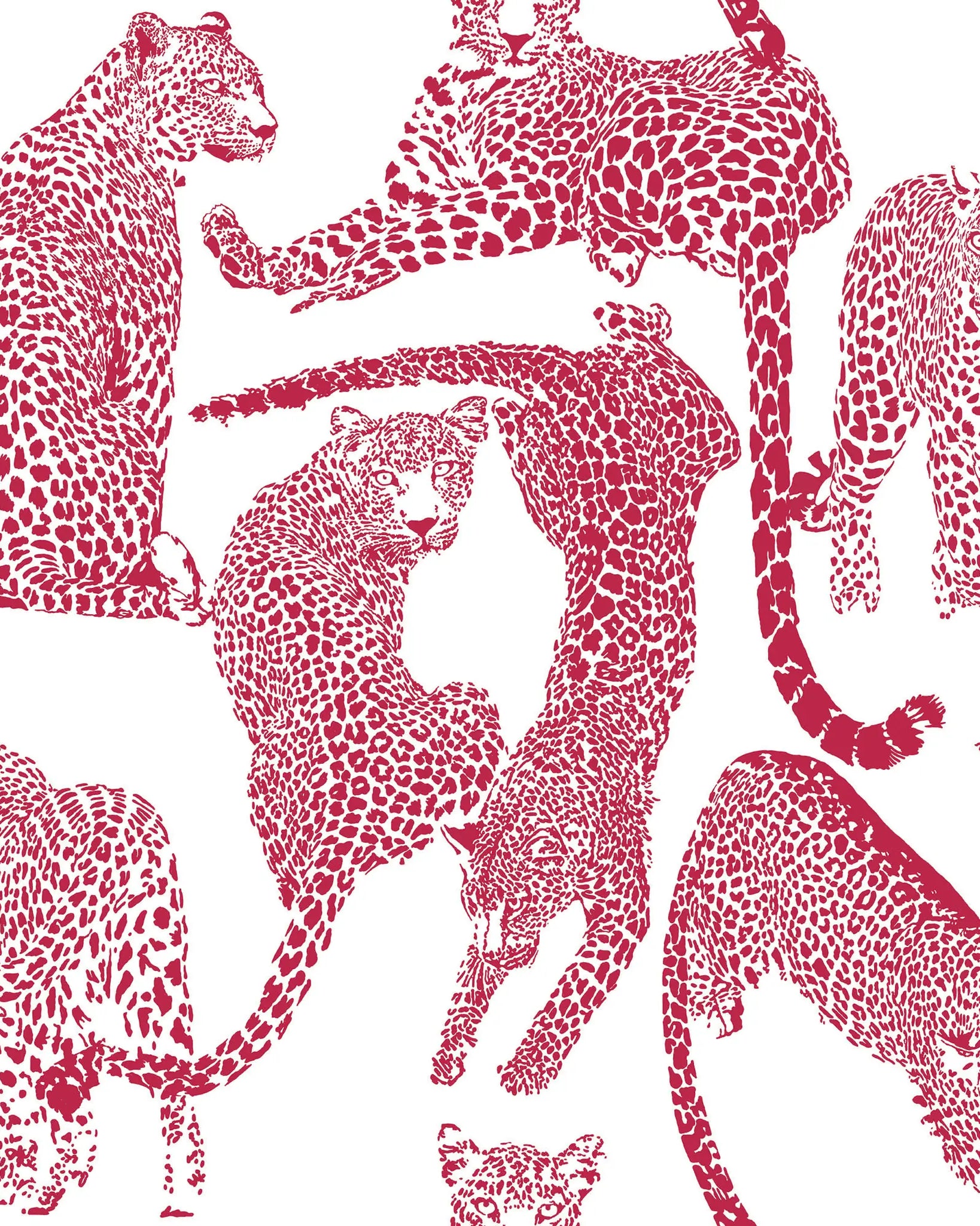 Pattern of red leopards on a white background