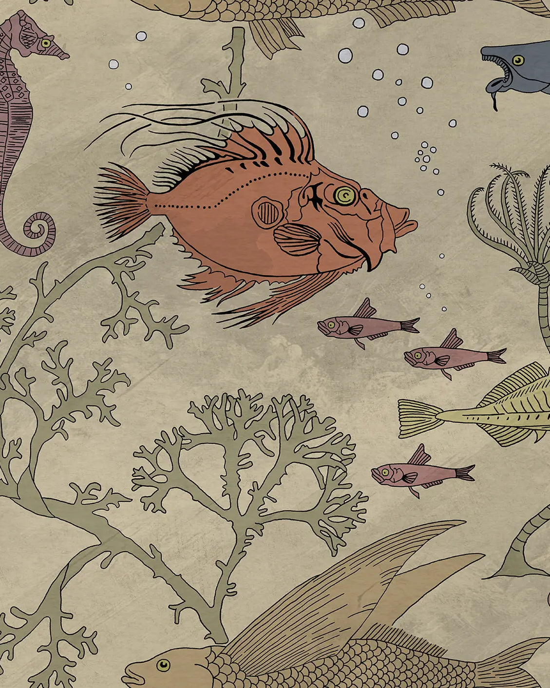 Illustration of various sea creatures on a beige background