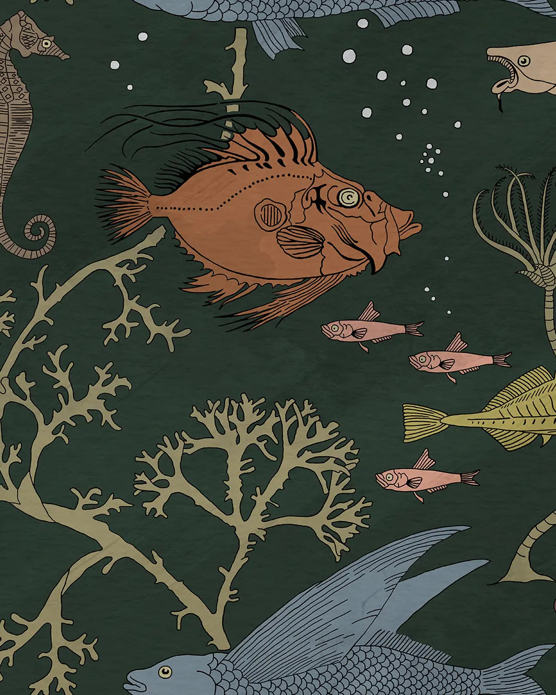 Illustration of various sea creatures on a dark green background