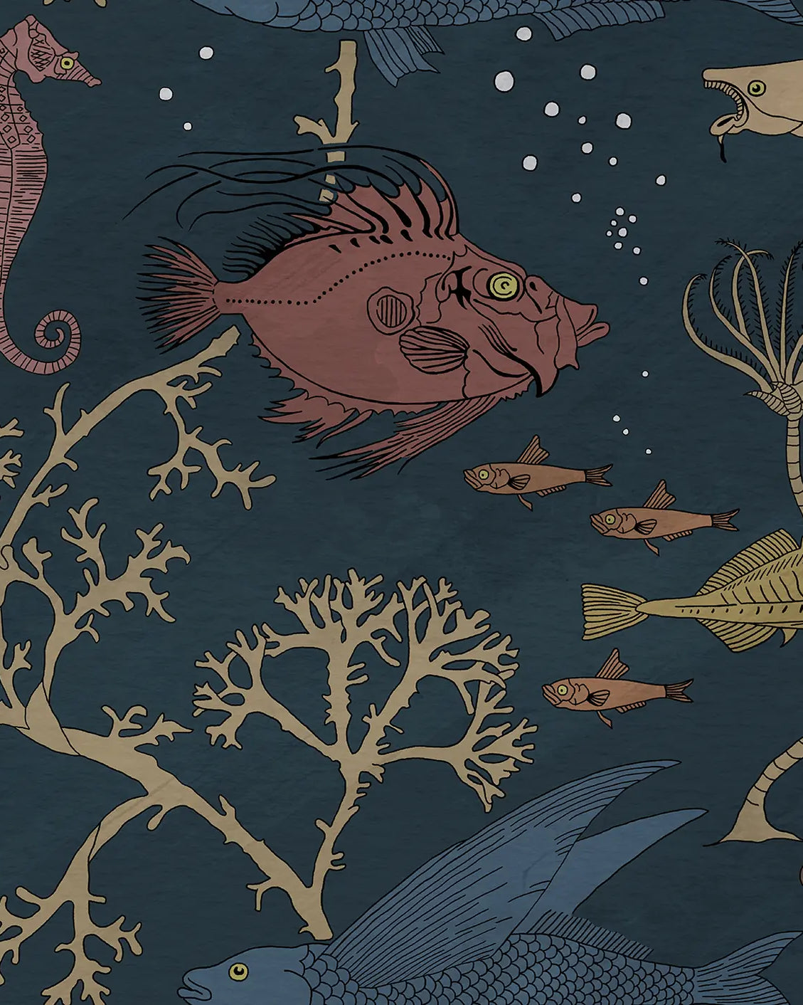 Illustration of various sea creatures and plants on a dark blue background