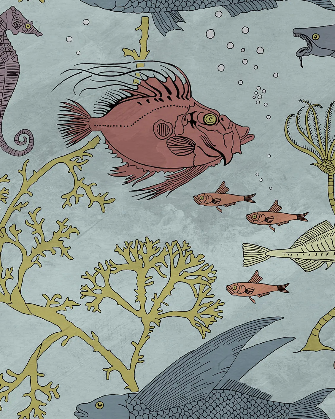 Illustration of various sea creatures and plants on a light blue background