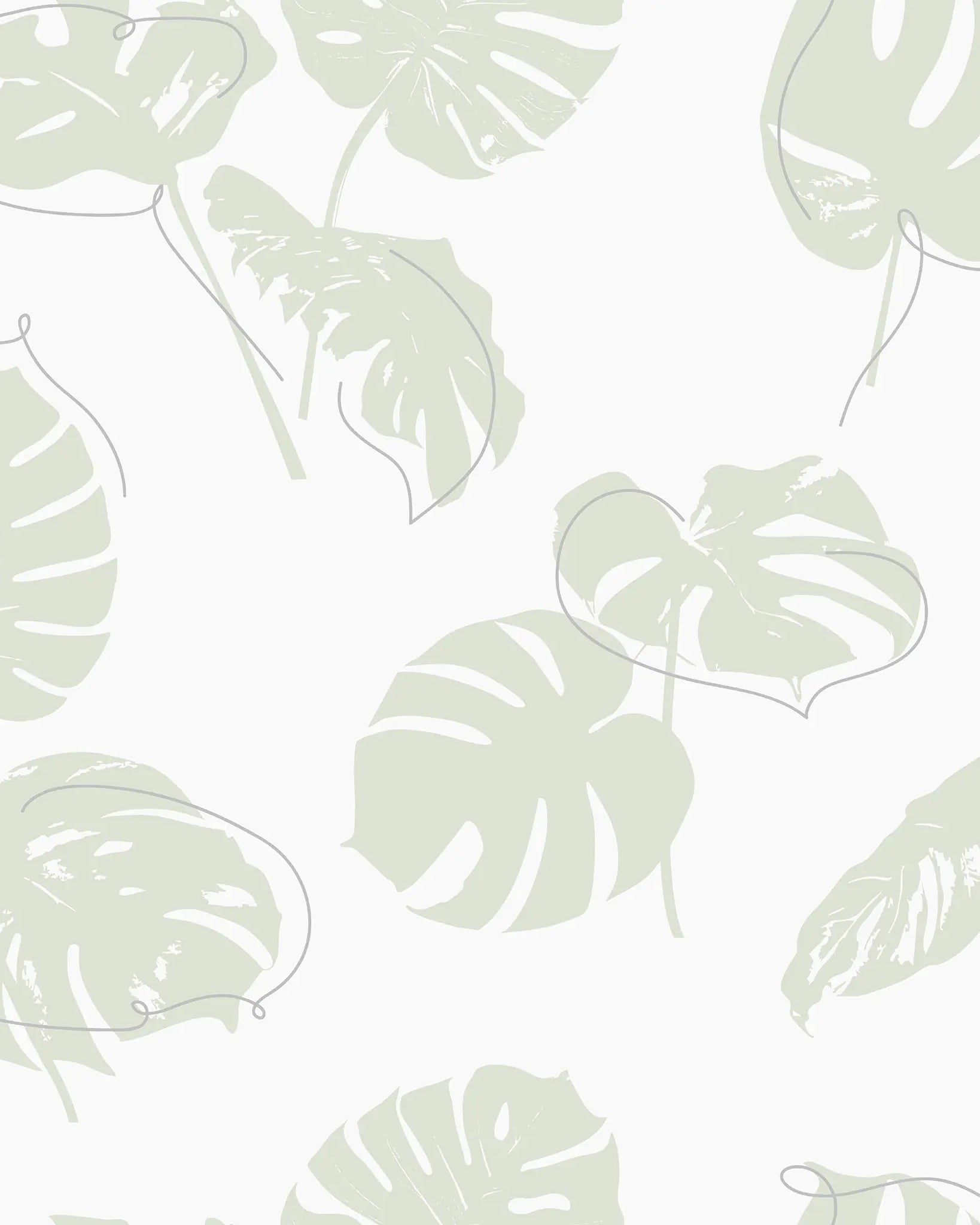 Pattern of light green monstera leaves on a white background