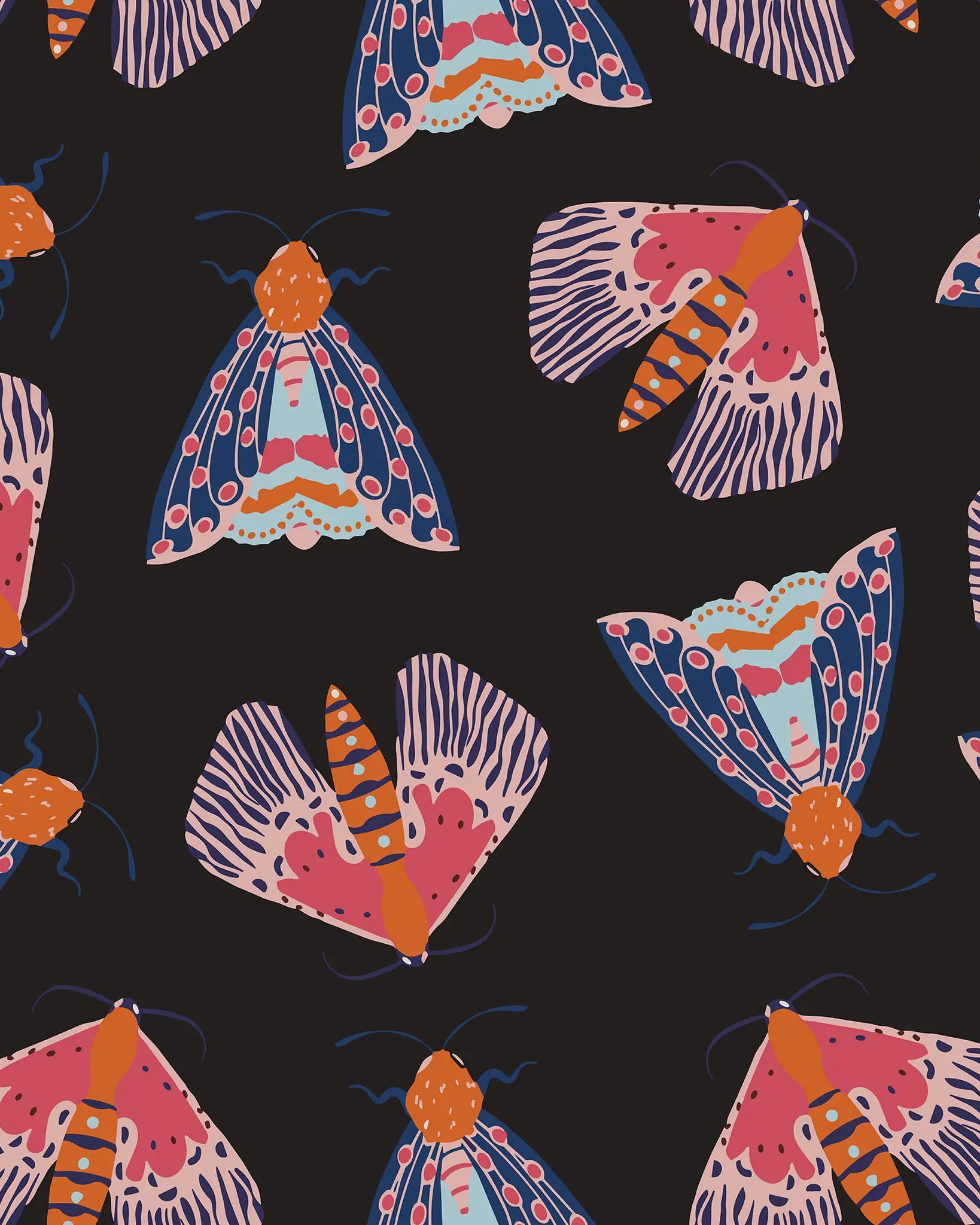 Colorful moth pattern on a black background