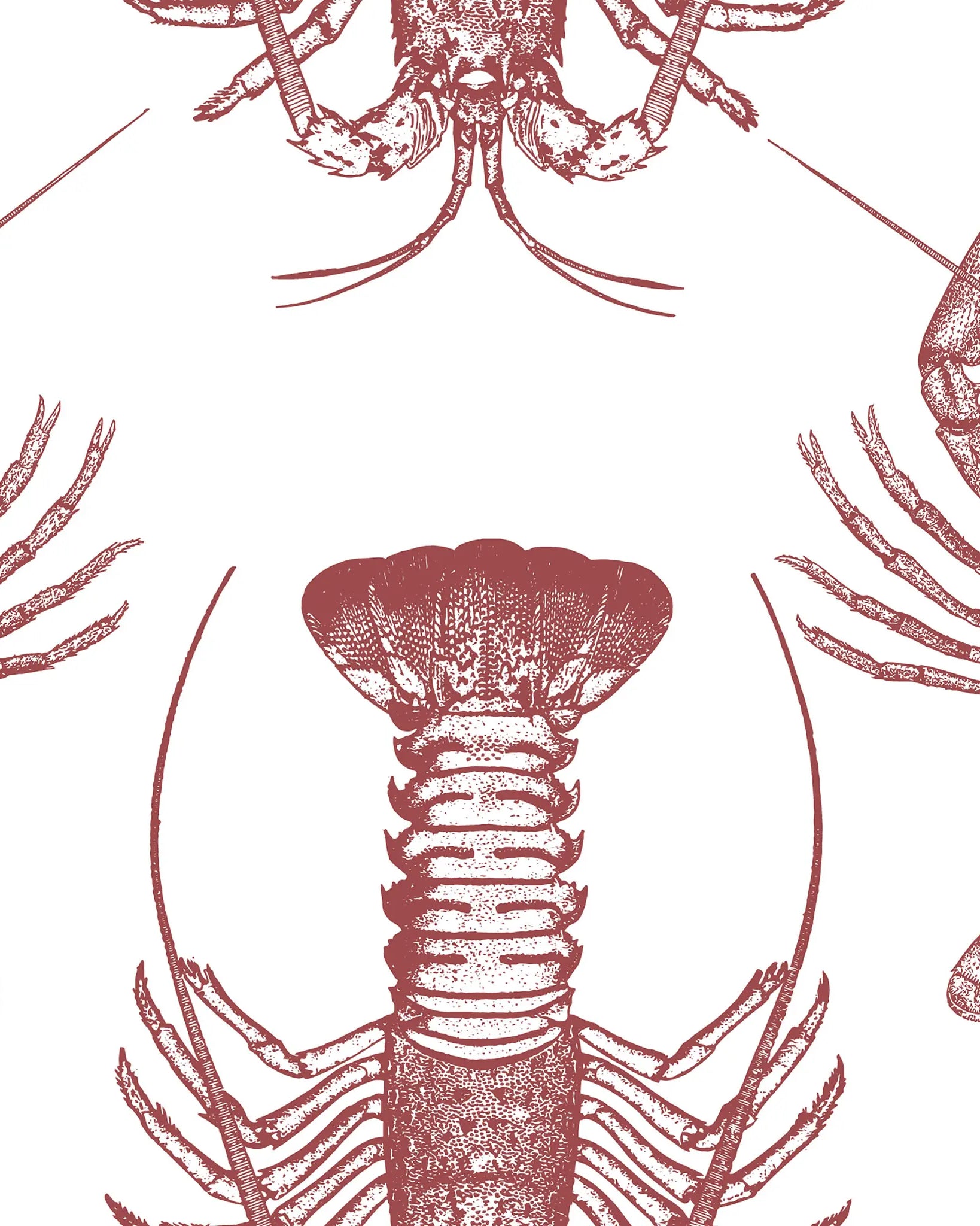Red and white pattern of lobsters on a white background