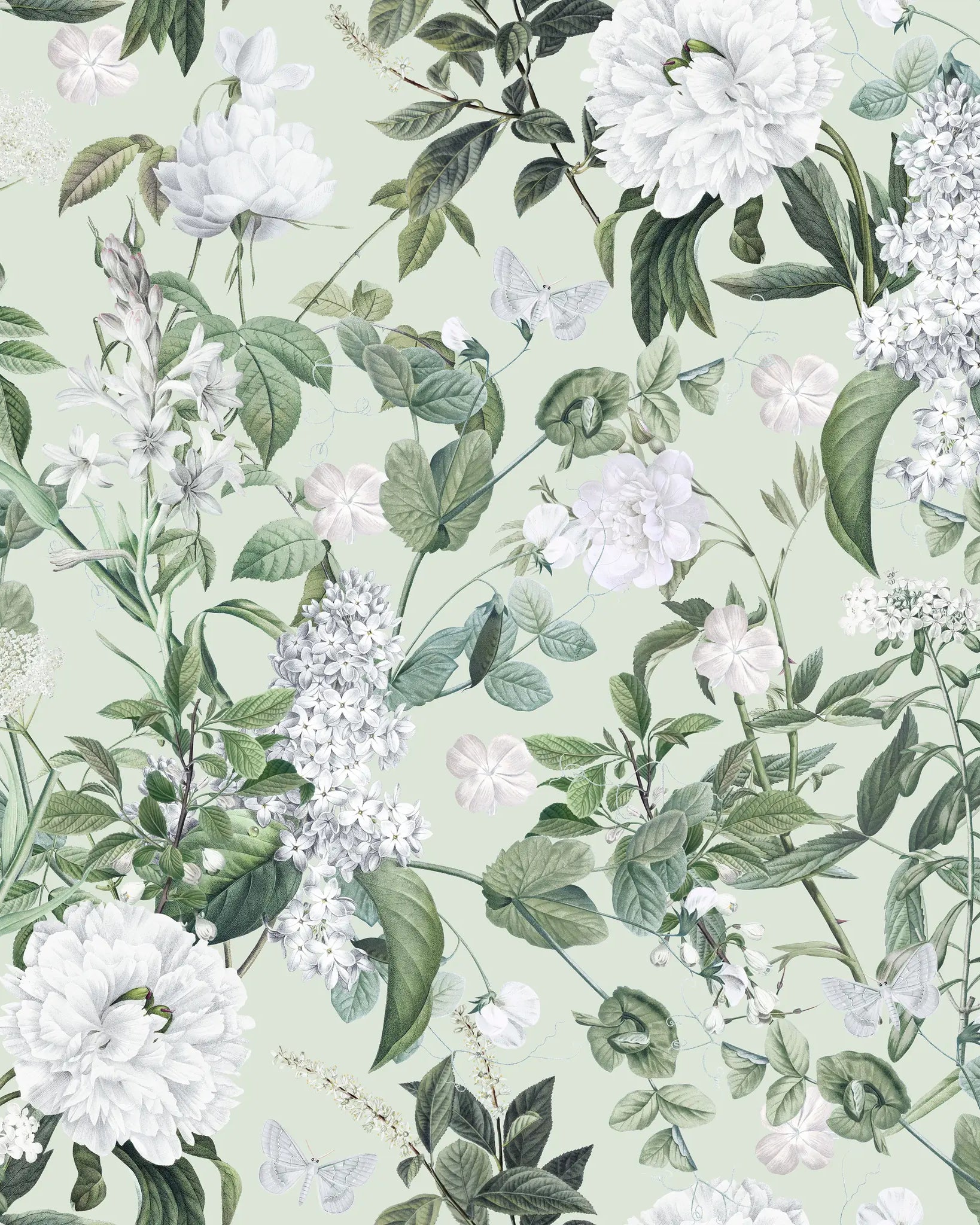 Floral pattern with white flowers and green leaves on a light green background