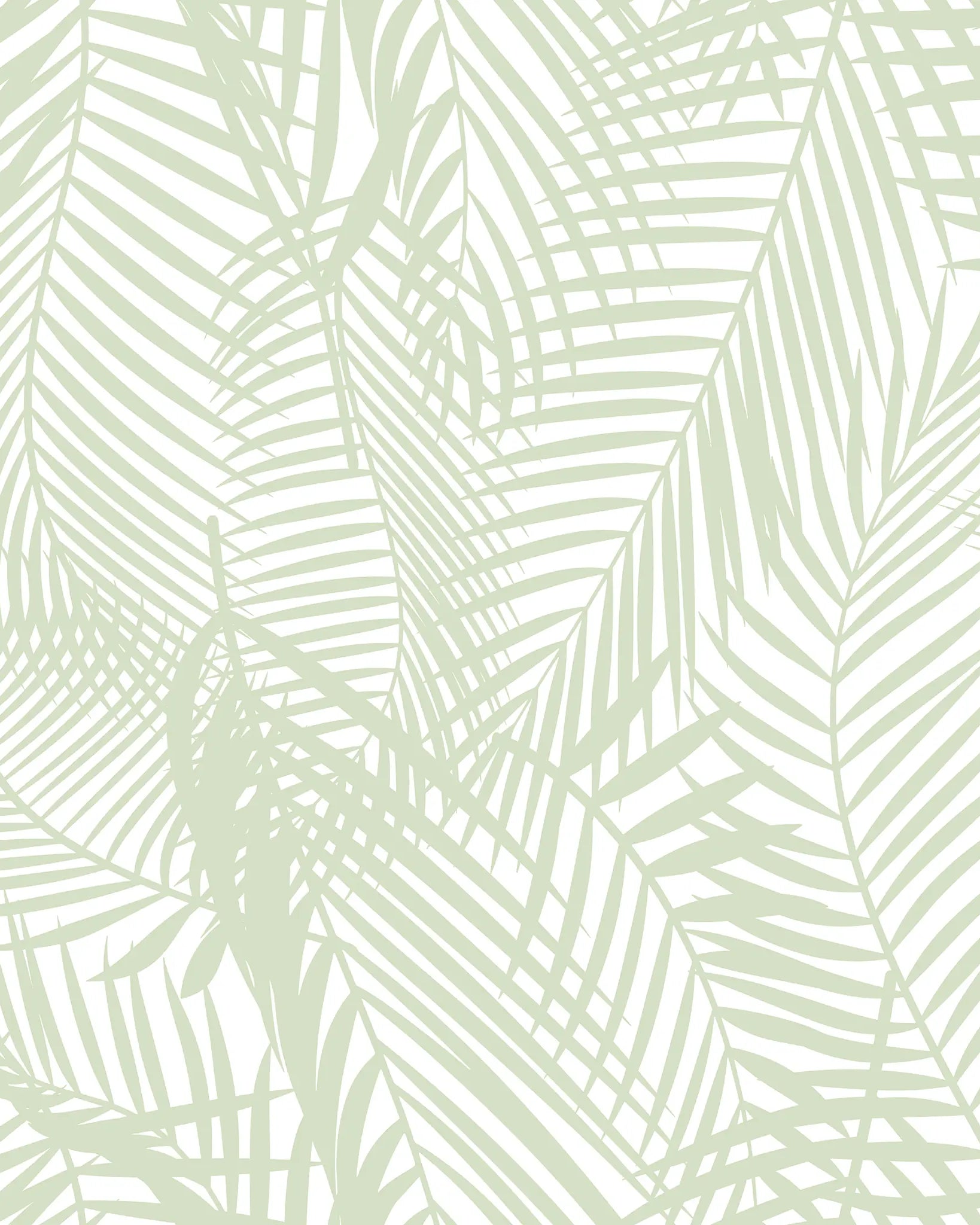Pattern of light green palm leaves on a white background
