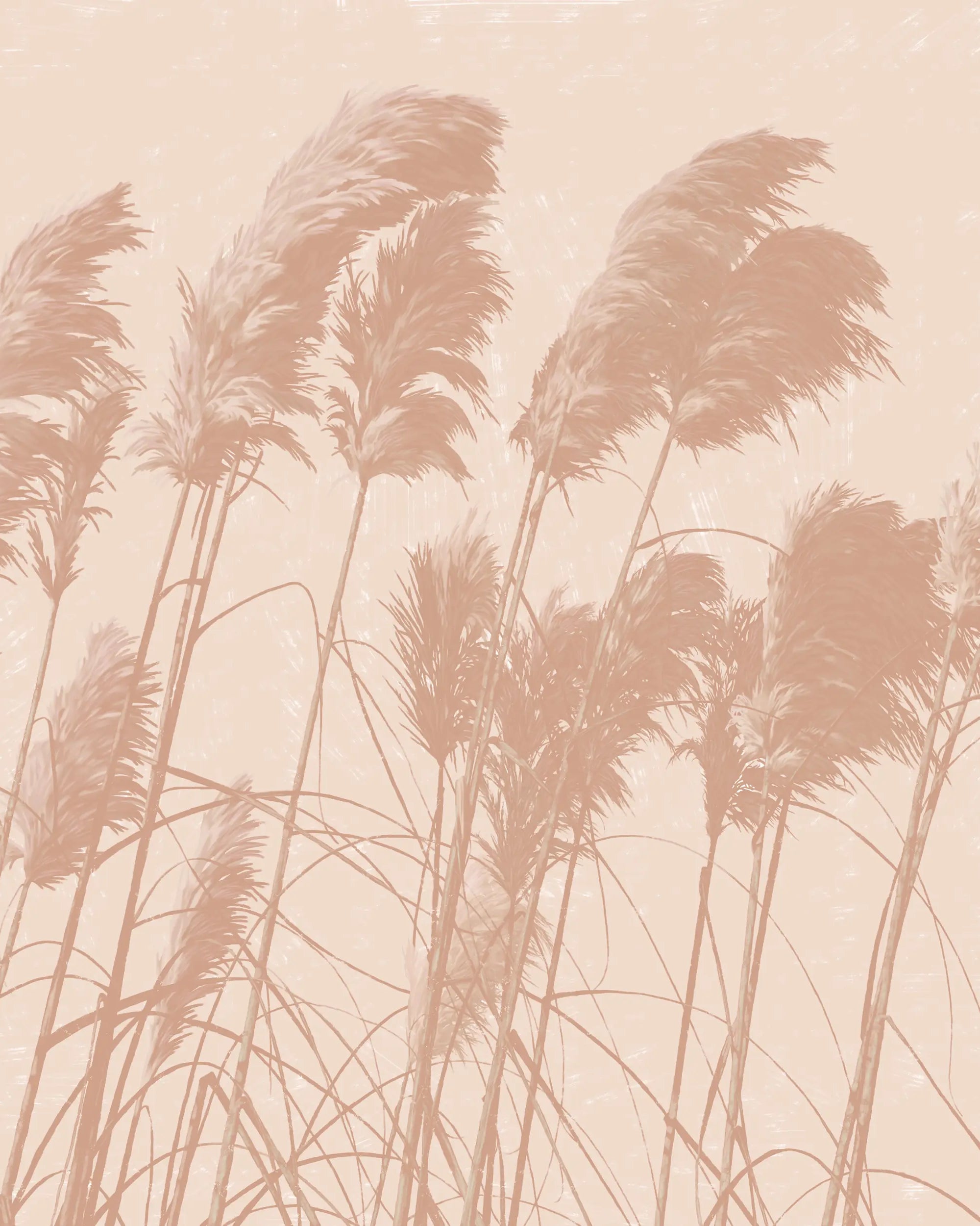 Pampas Melody Peel and Stick Wallpaper, Removable Wallpaper, Traditional Wallpaper | DeccoPrint