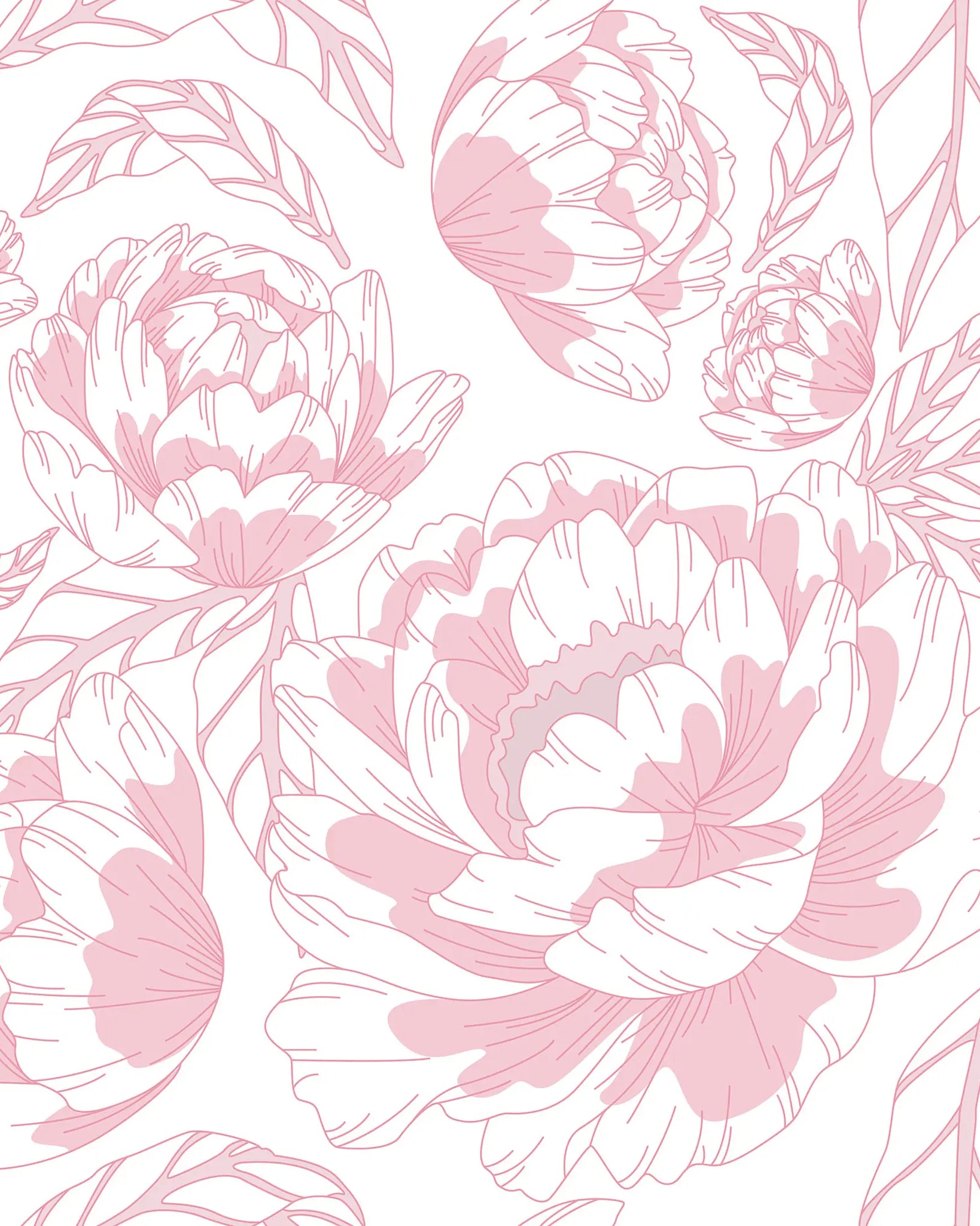 Pattern of pink flowers and leaves on a white background