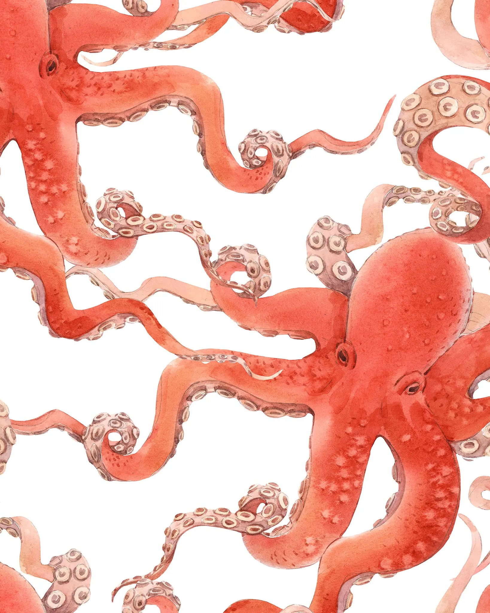 Pattern of red octopuses on a white background