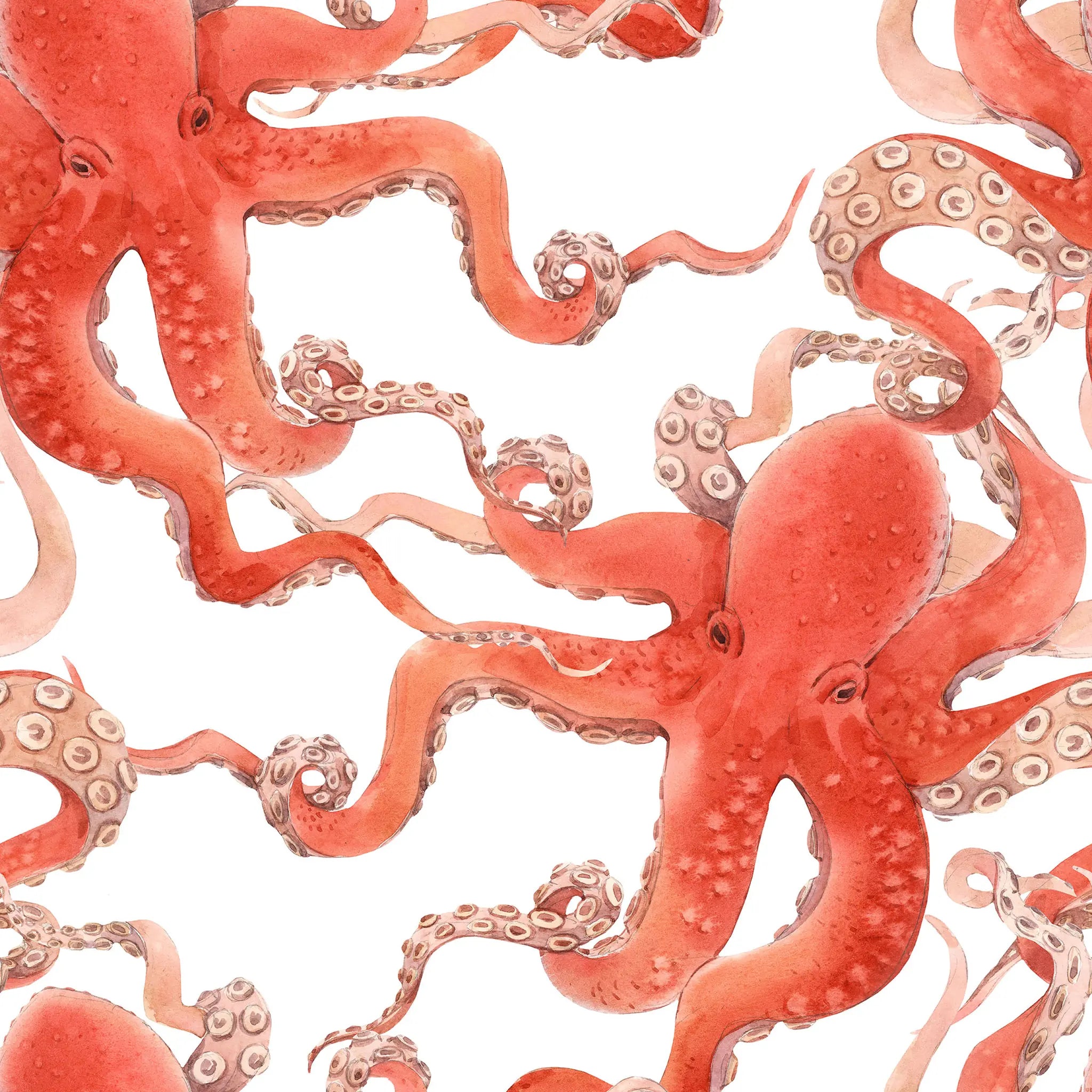 Pattern of red octopuses on a white background