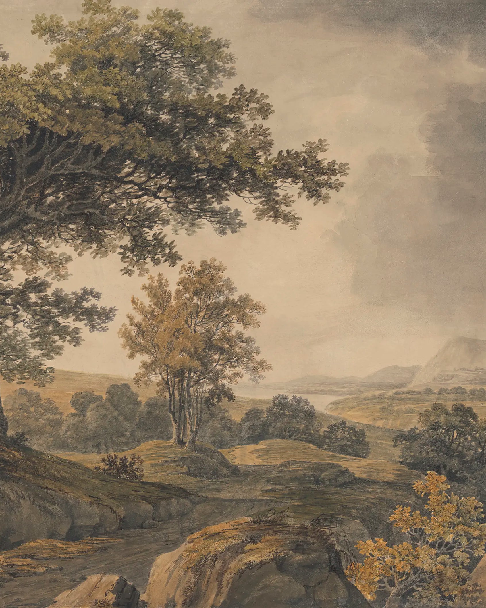 Landscape with trees and a distant mountain under a cloudy sky