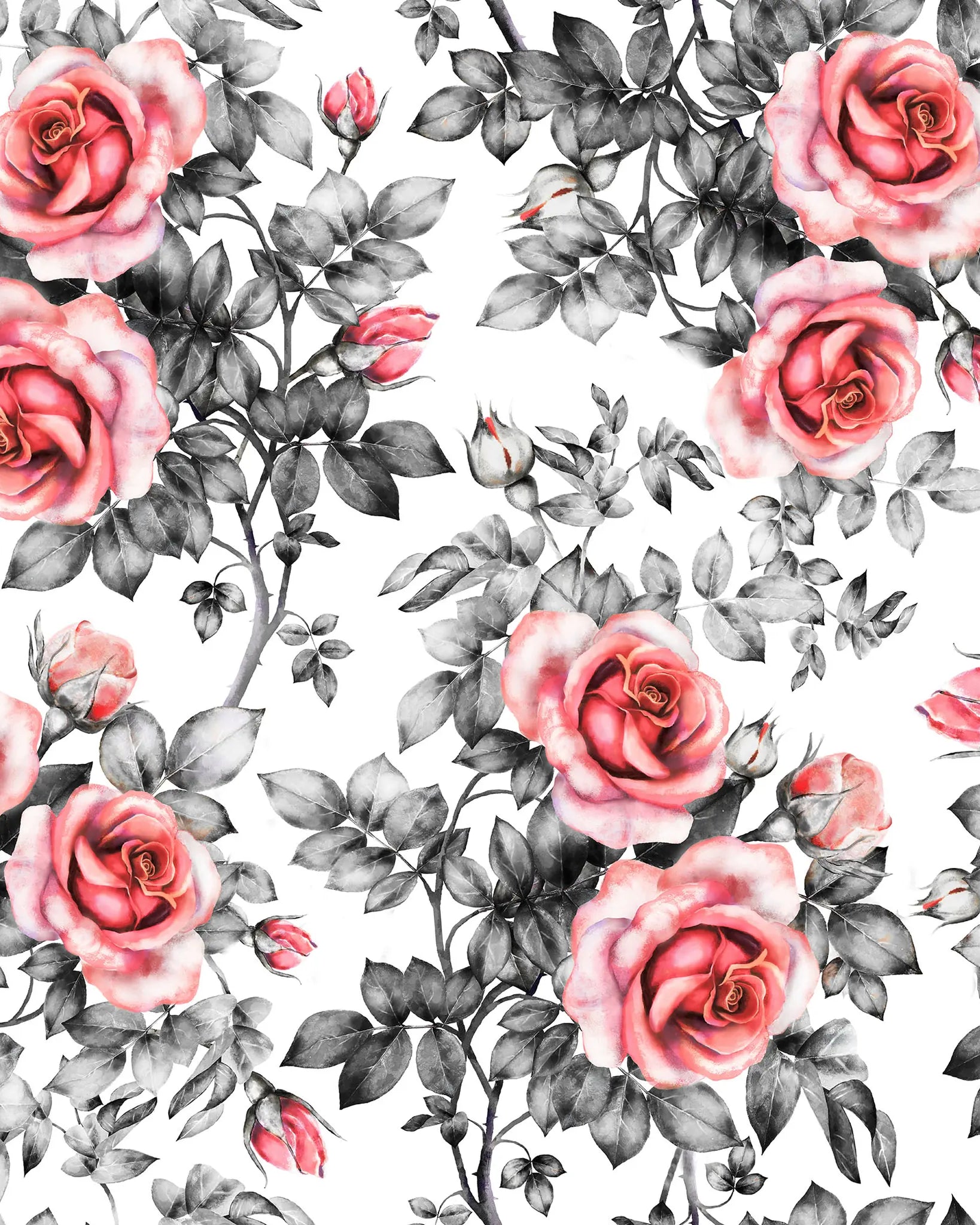 Pattern of pink roses and green leaves on a white background