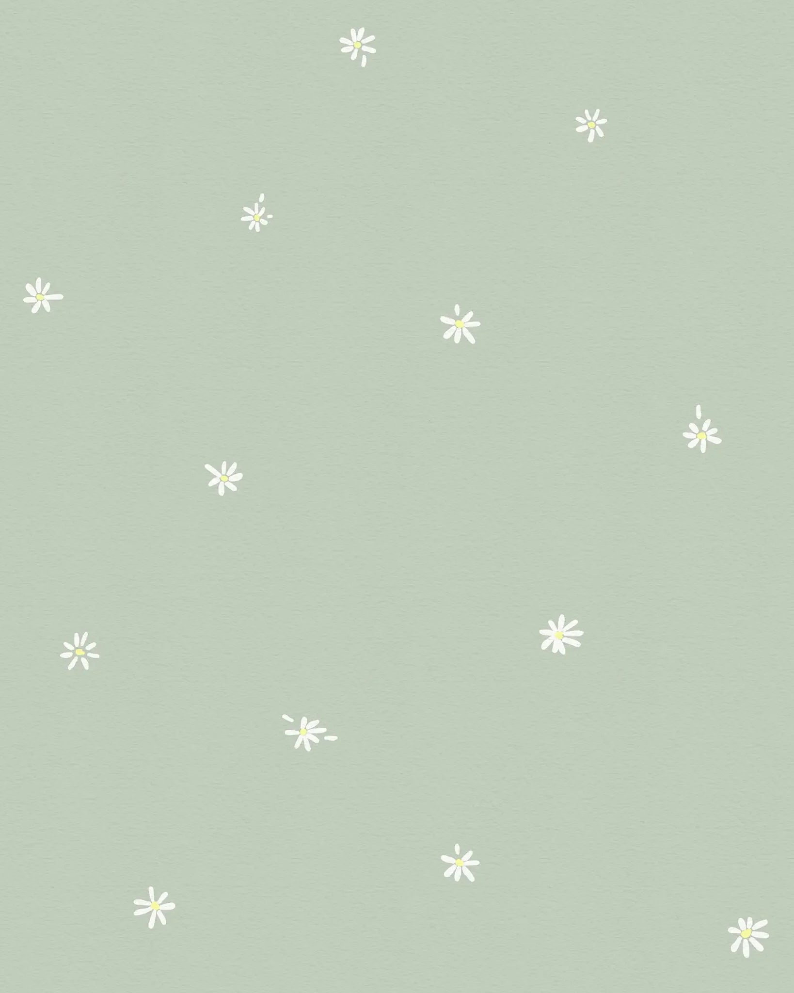 Pattern of small white flowers on a light gray background