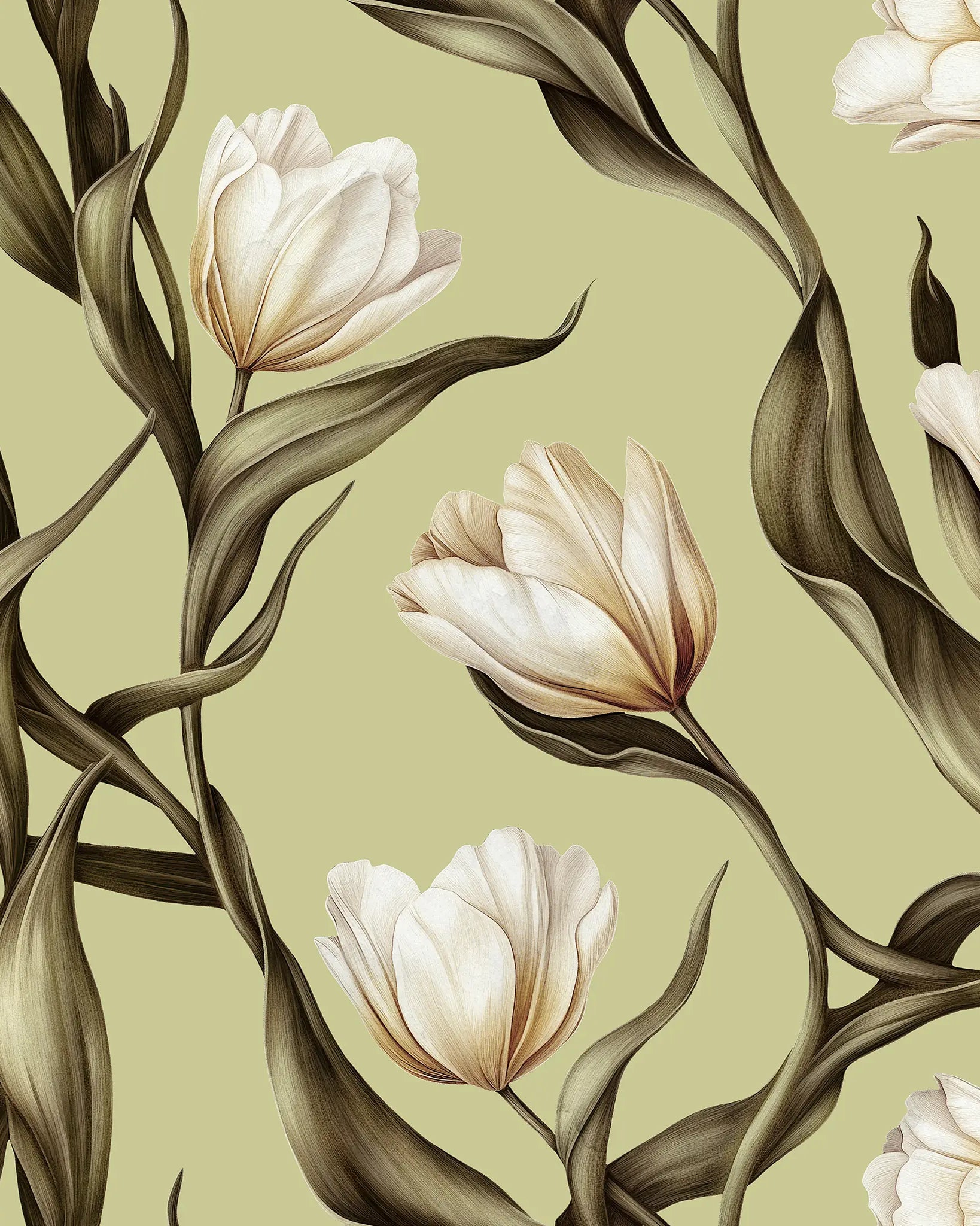 Pattern of white tulips with brown leaves on a light green background