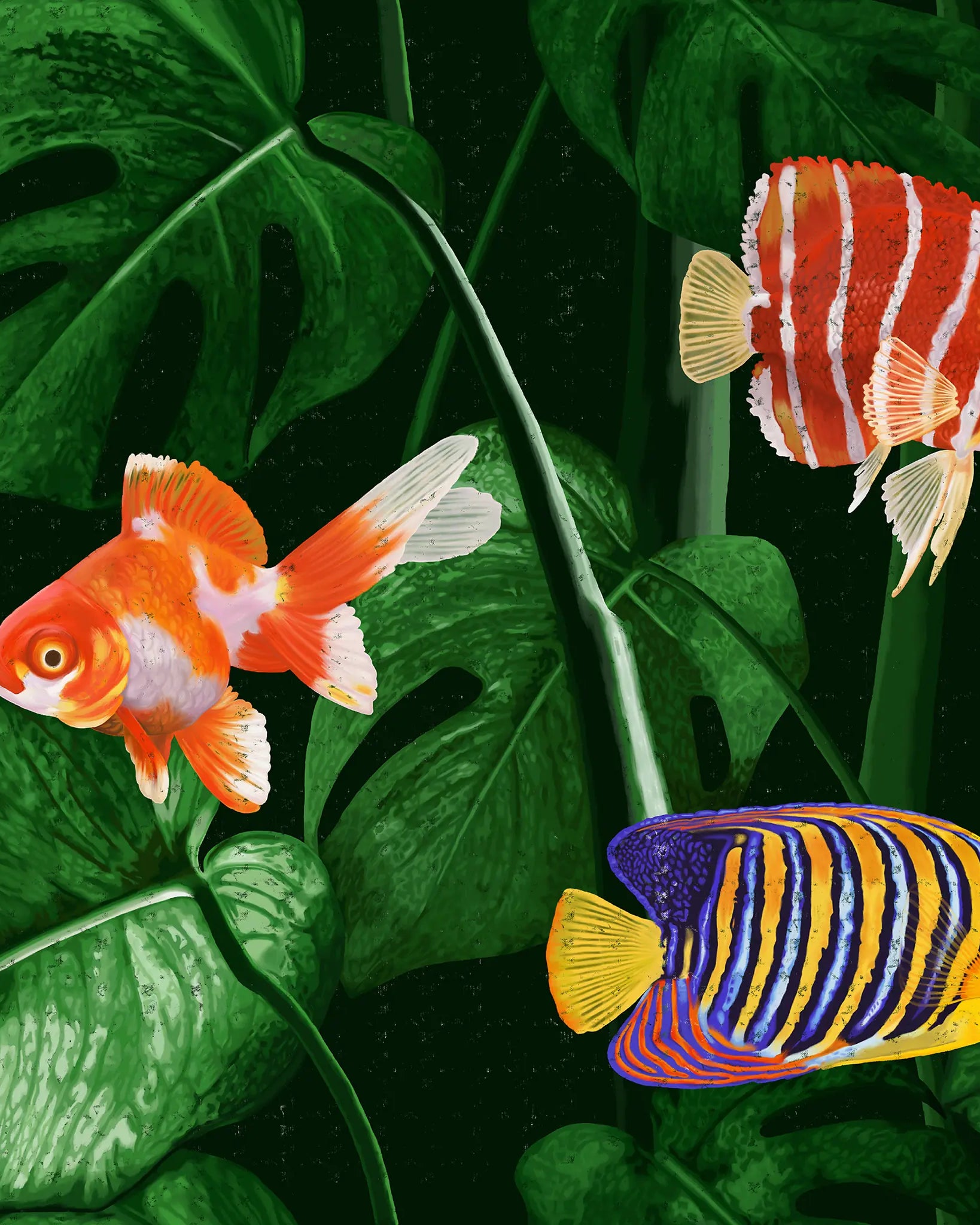 Colorful fish with tropical leaves on a dark background