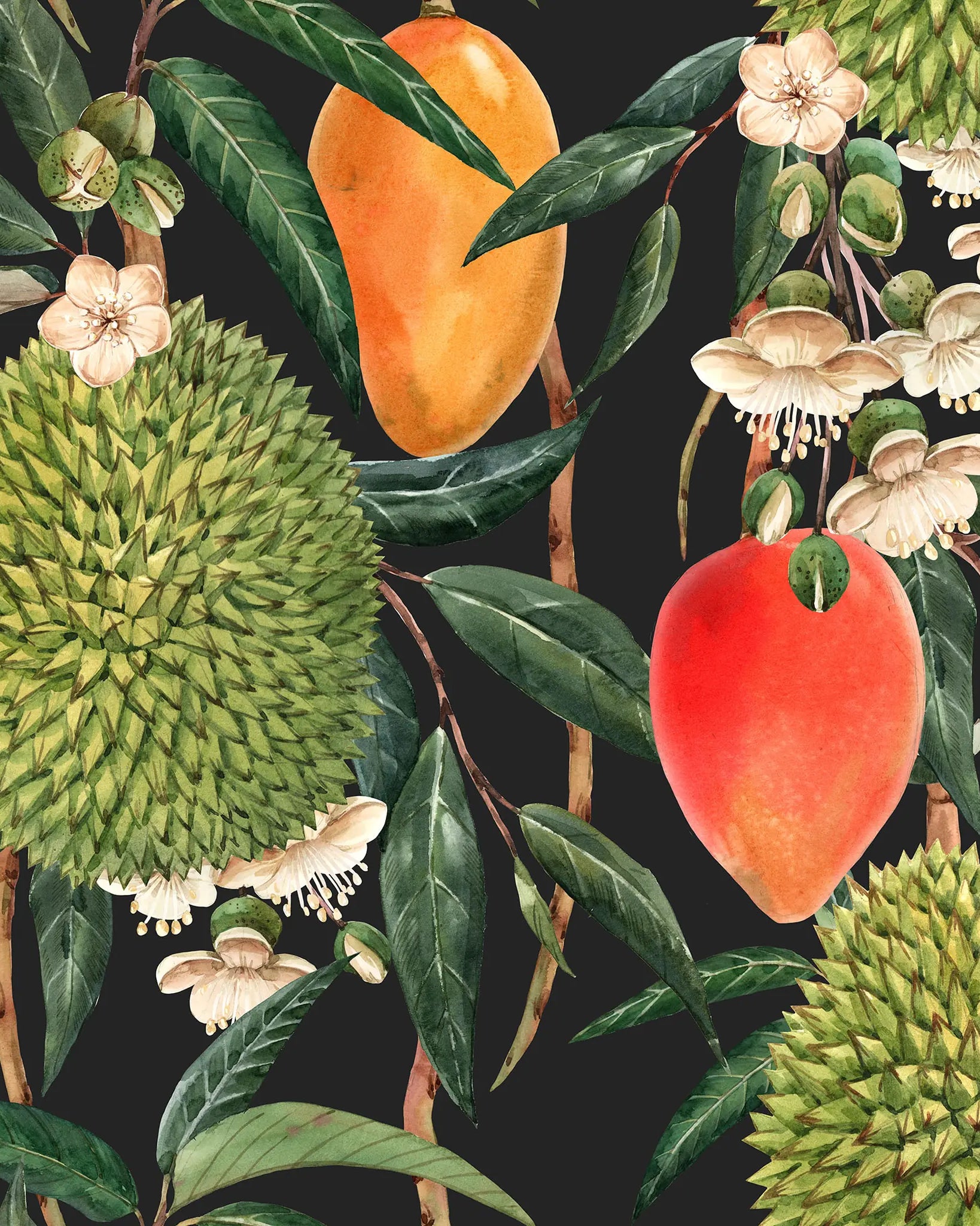 Illustration of tropical fruits including mangoes, durians, and a peach on a dark background.