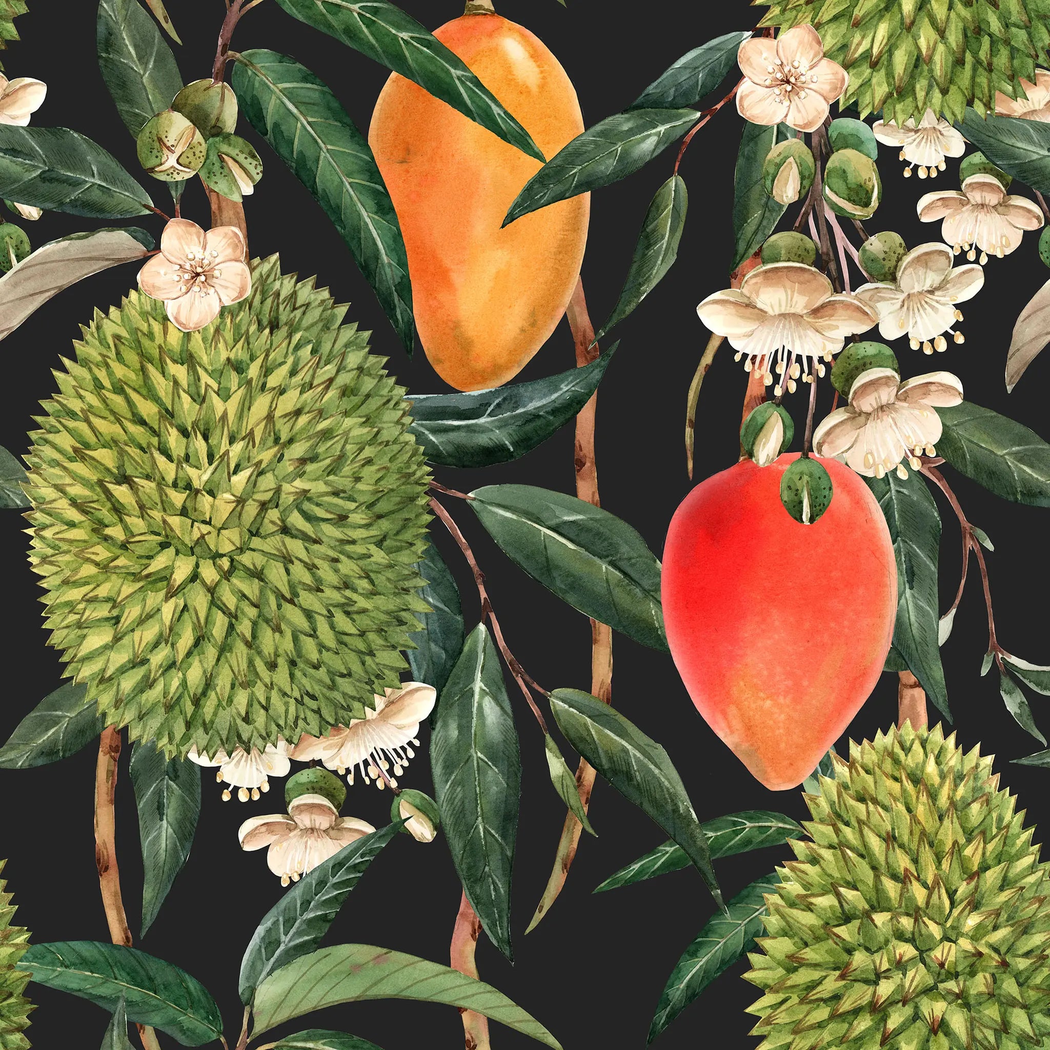 Illustration of tropical fruits including mangoes, durians, and a peach on a dark background.