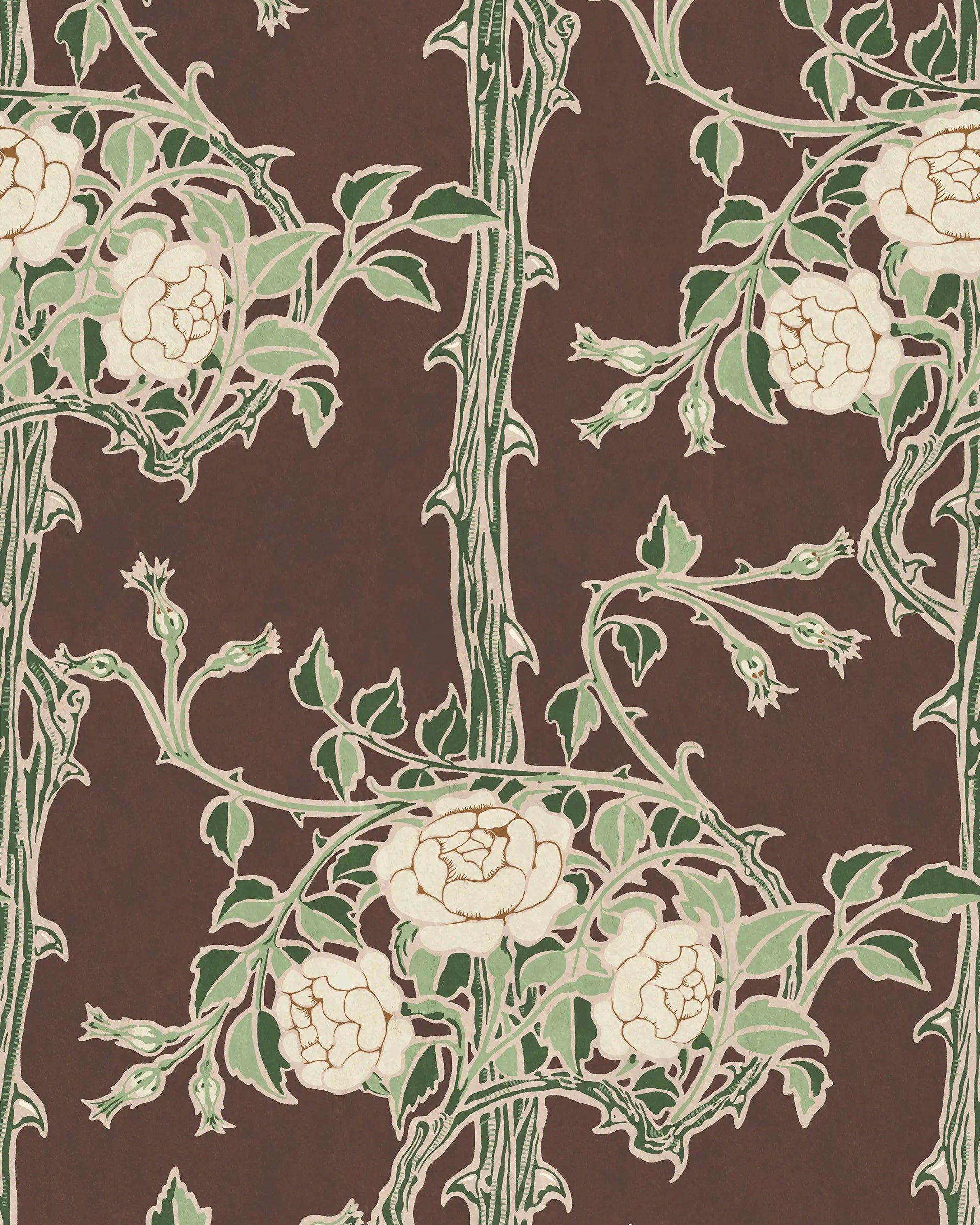 Floral pattern with white flowers and green leaves on a brown background