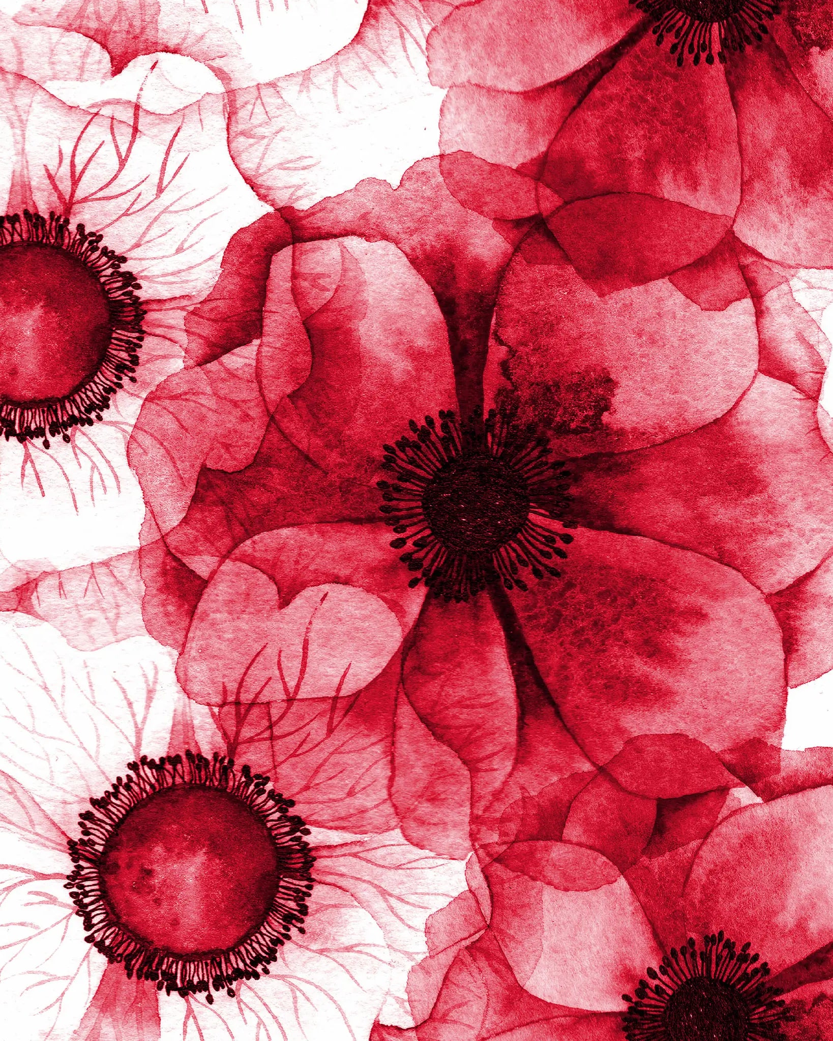 Close-up of red and white flowers with a focus on texture and color.