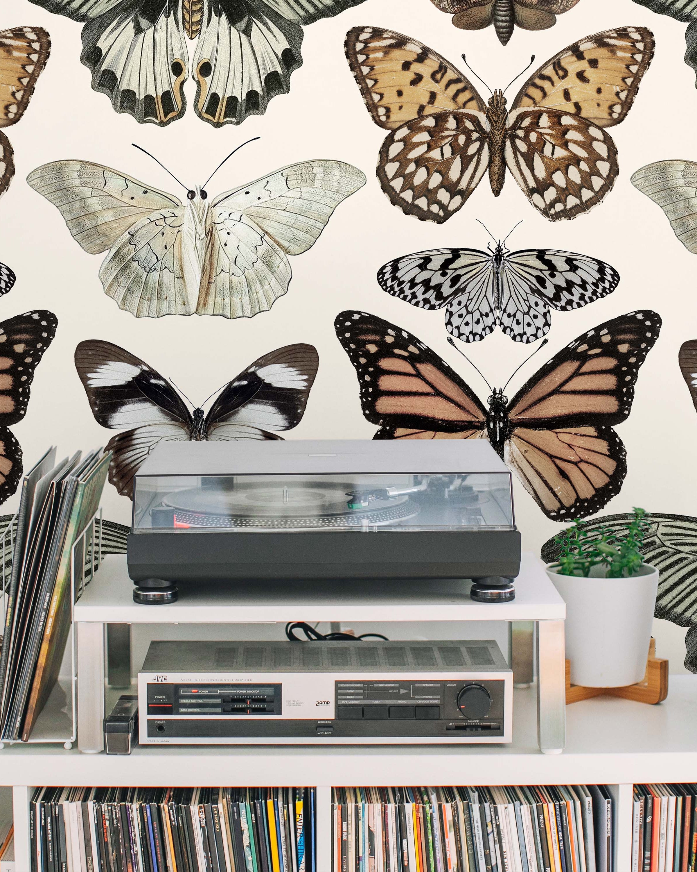 Vintage Butterfly Peel and Stick Wallpaper, Removable Wallpaper, Traditional Wallpaper | DeccoPrint