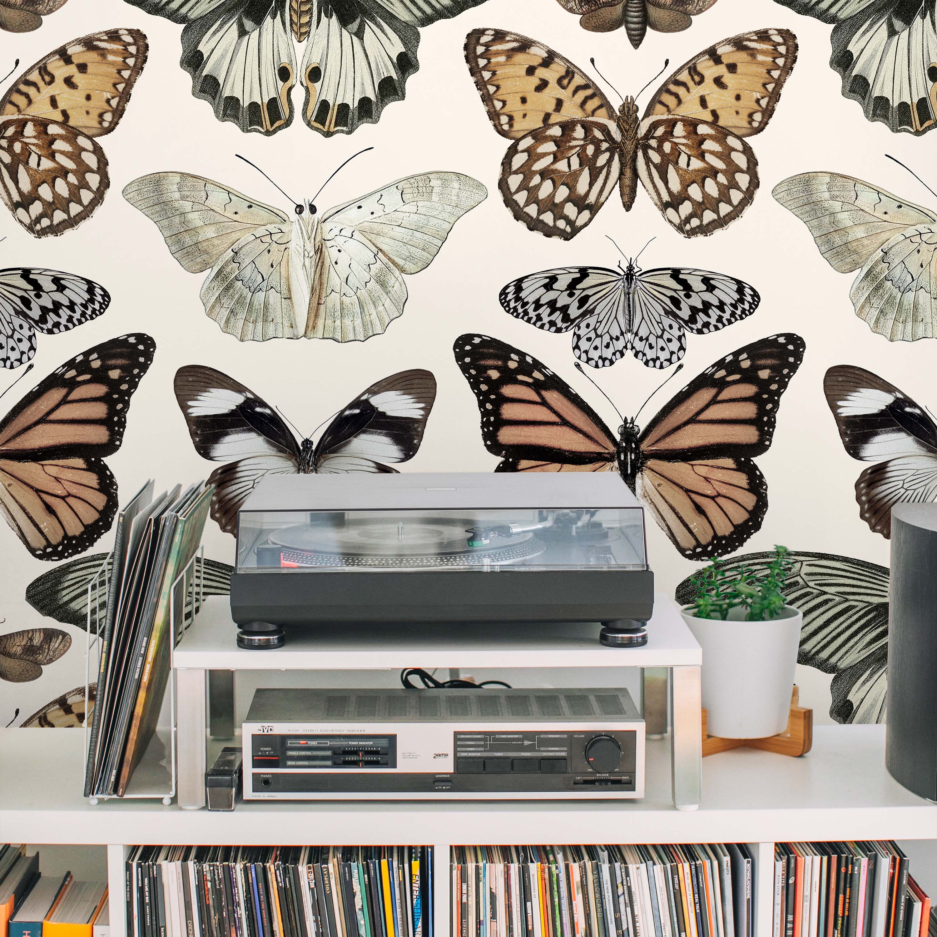 Vintage Butterfly Peel and Stick Wallpaper, Removable Wallpaper, Traditional Wallpaper | DeccoPrint