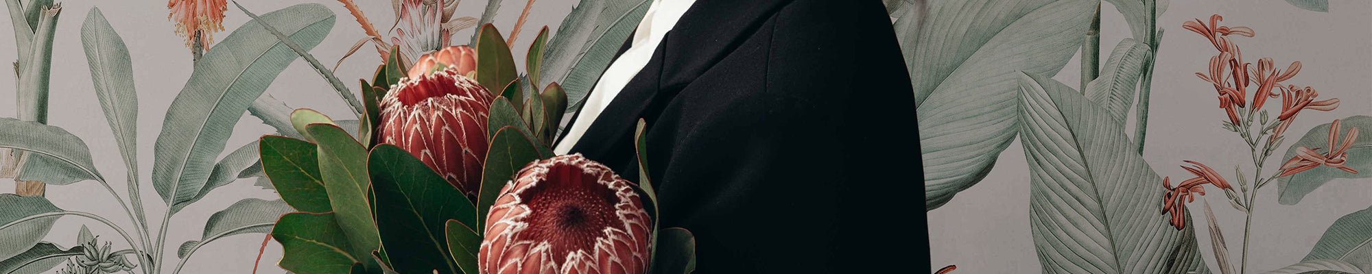 Plant guide for your home: how plants can make more alive any interior