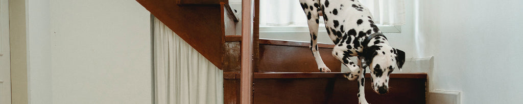 10 Tips for Styling Your Staircase with Confidence: Safety Meets Style