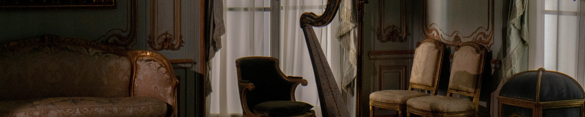 The allure of Dark Academia – a guide to sophisticated and moody interiors